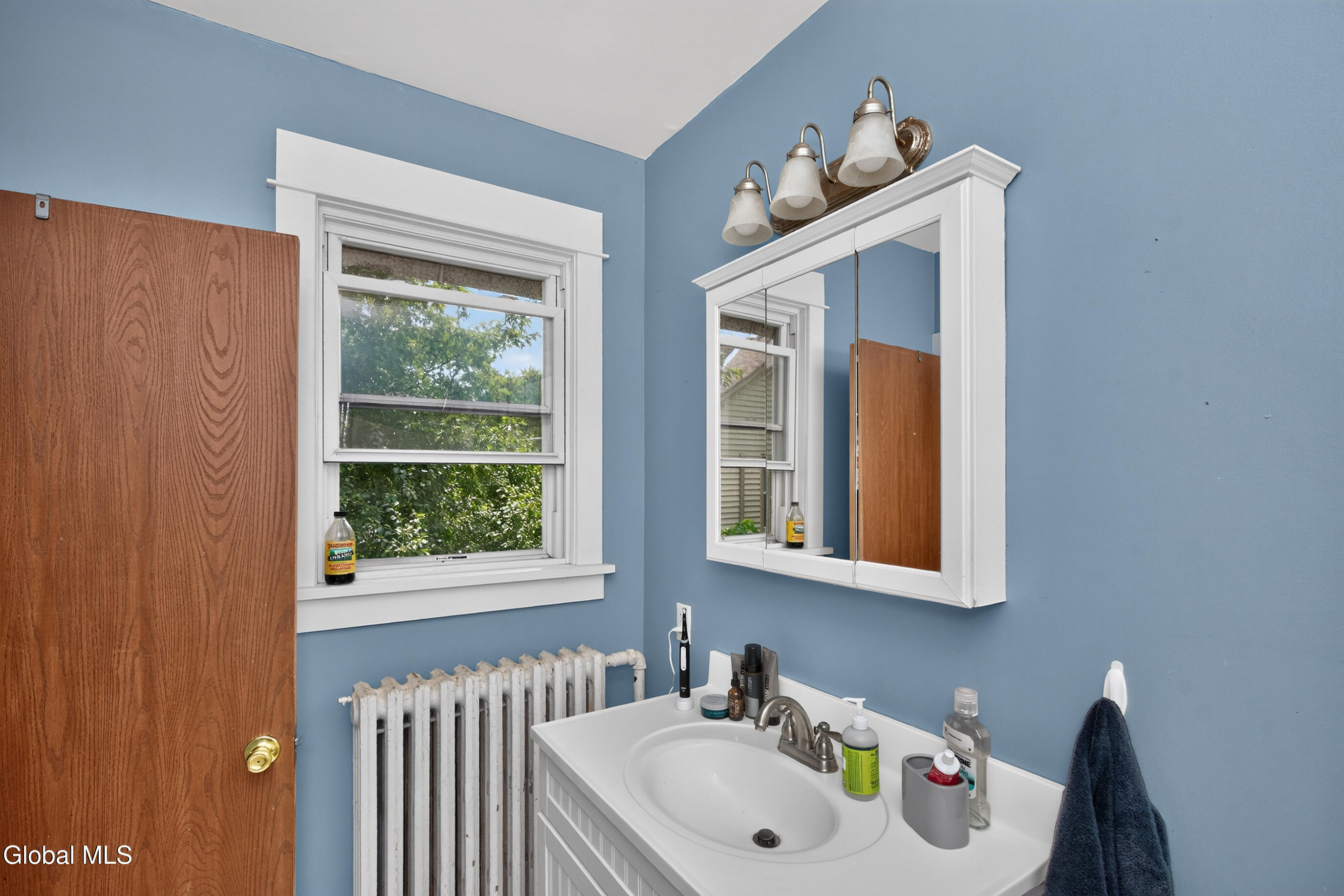 27 Euclid Avenue Delmar NY 12054