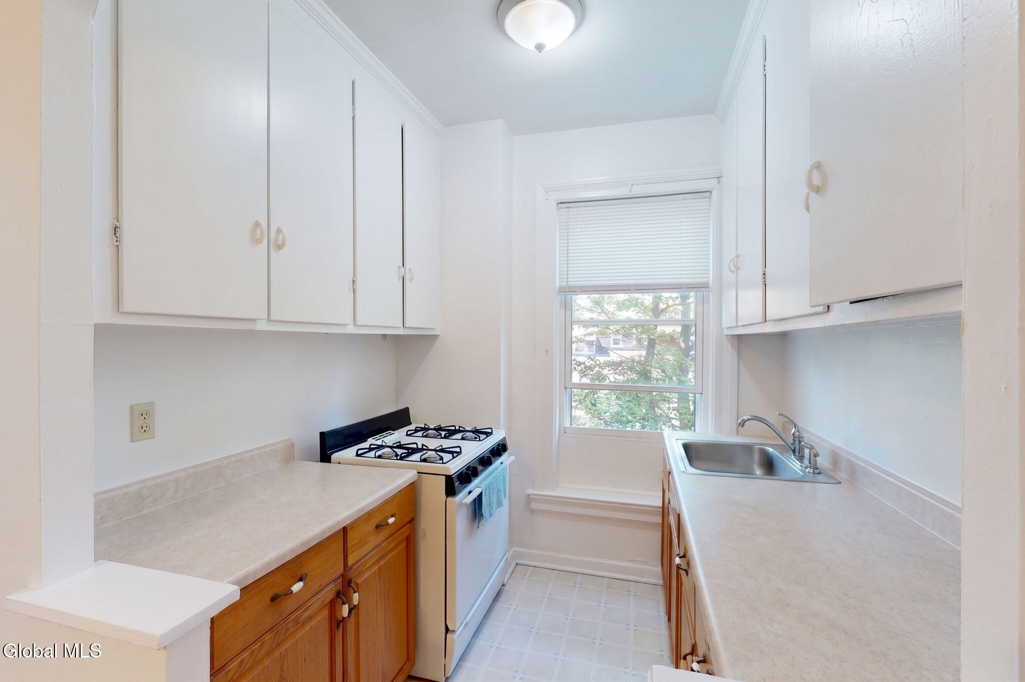 141 S Allen Street Albany NY 12208