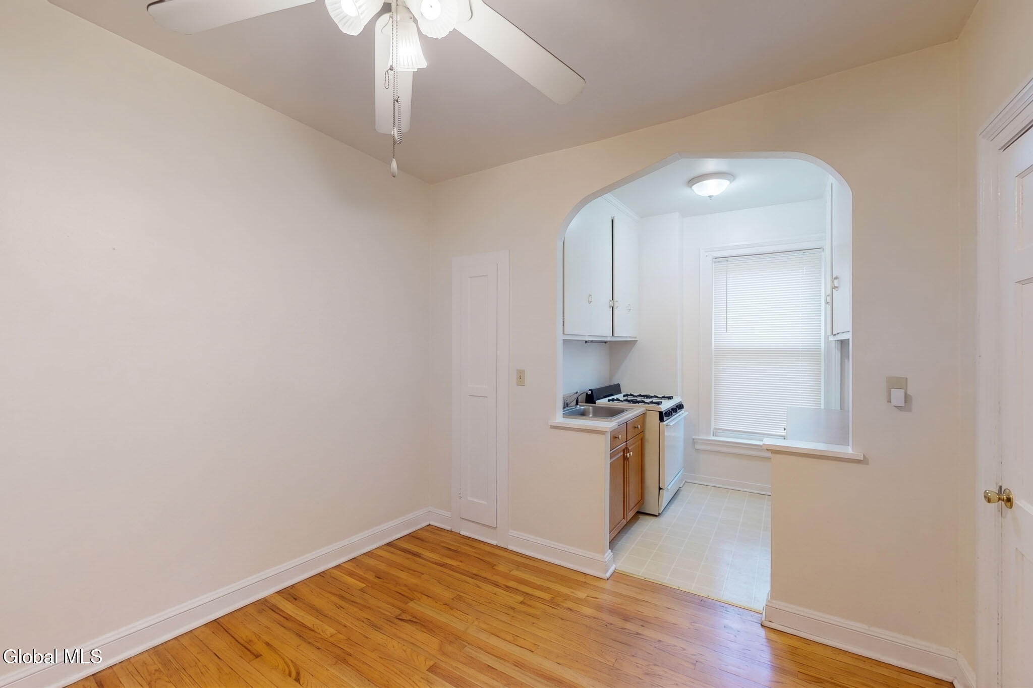 141 S Allen Street Albany NY 12208