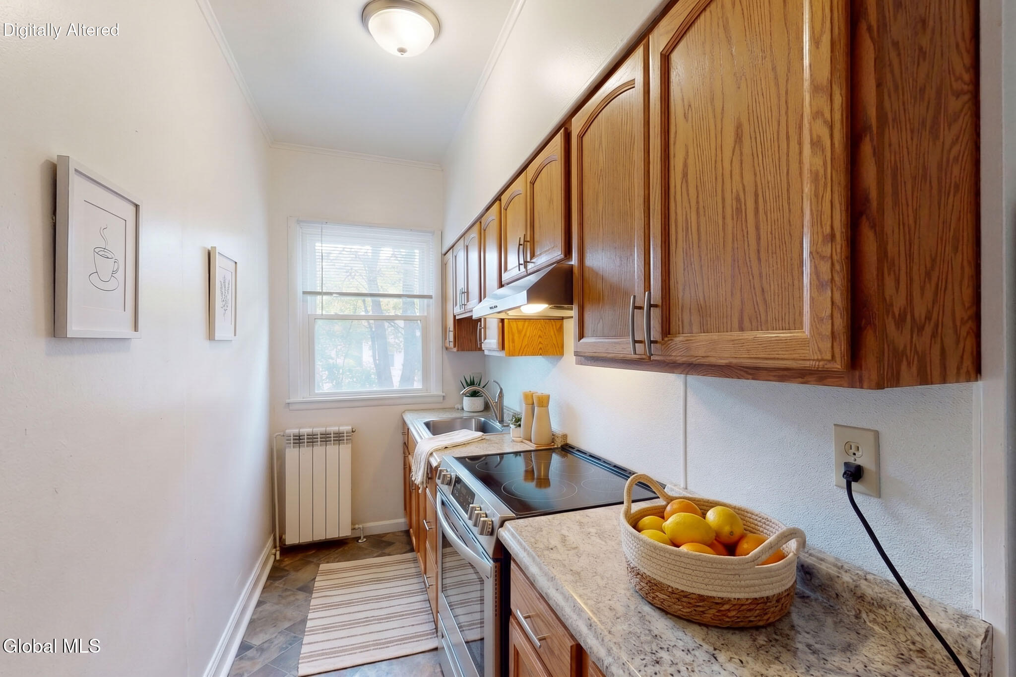 141 S Allen Street Albany NY 12208