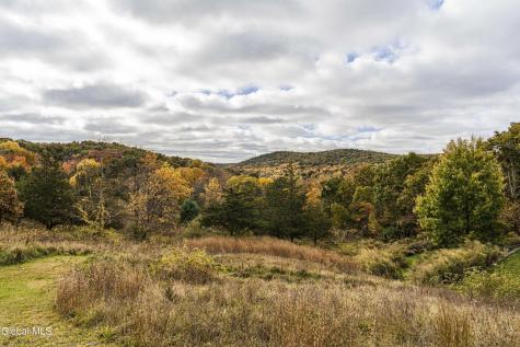 38 Sigler Road Gallatin NY 12567