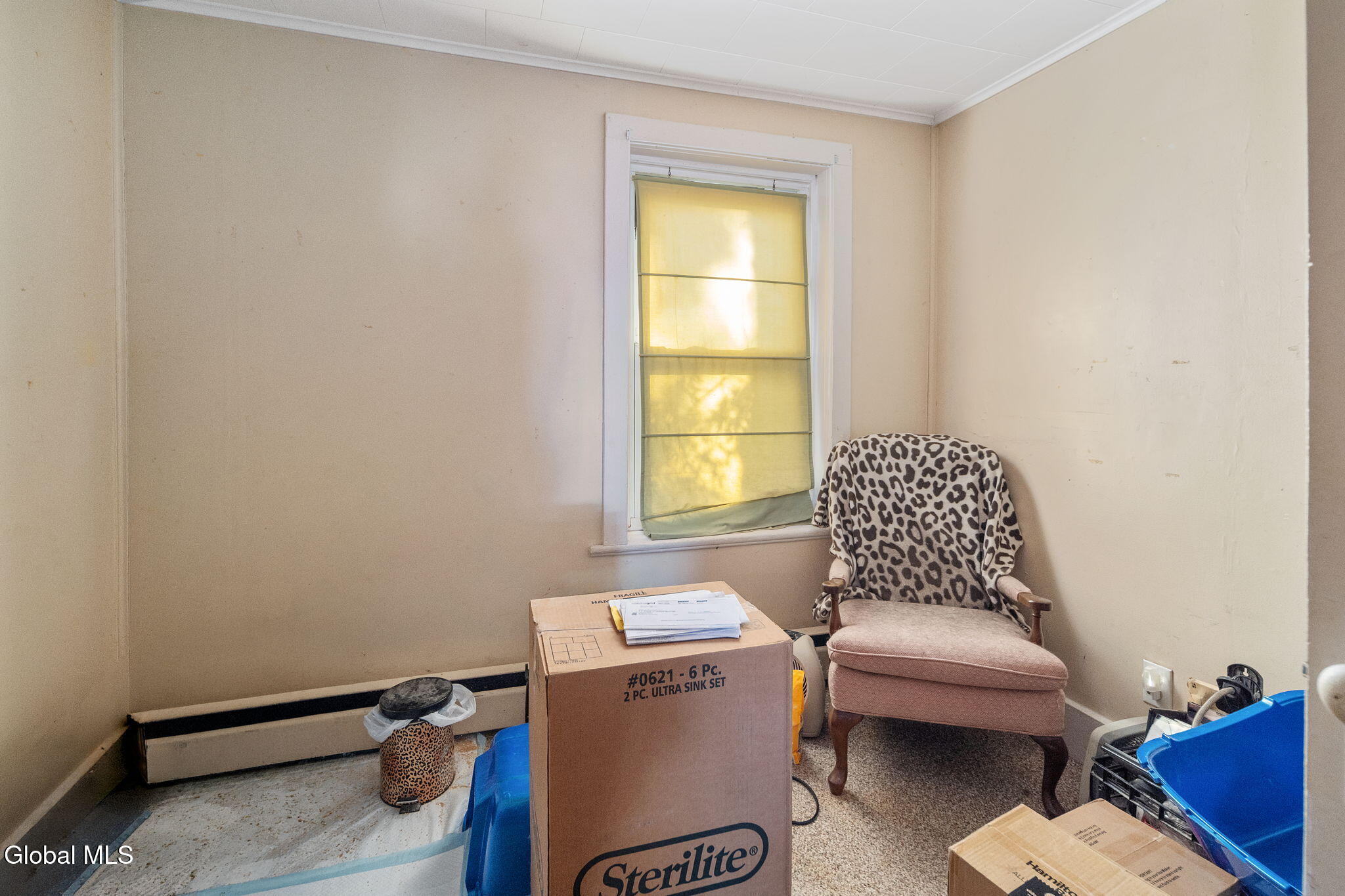 29 Main Street Ravena NY 12143