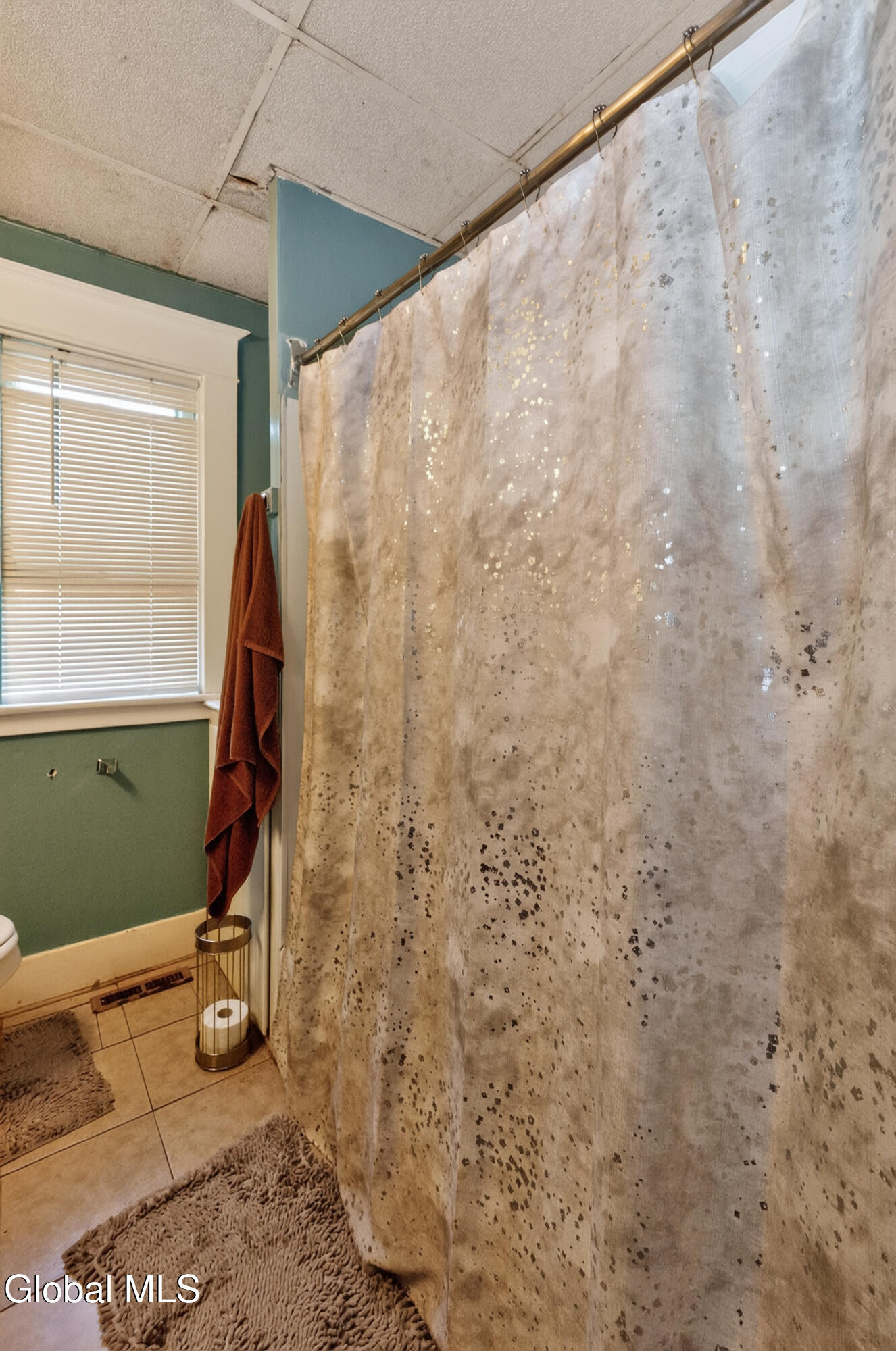 15 S Lansing Road Colonie NY 12204