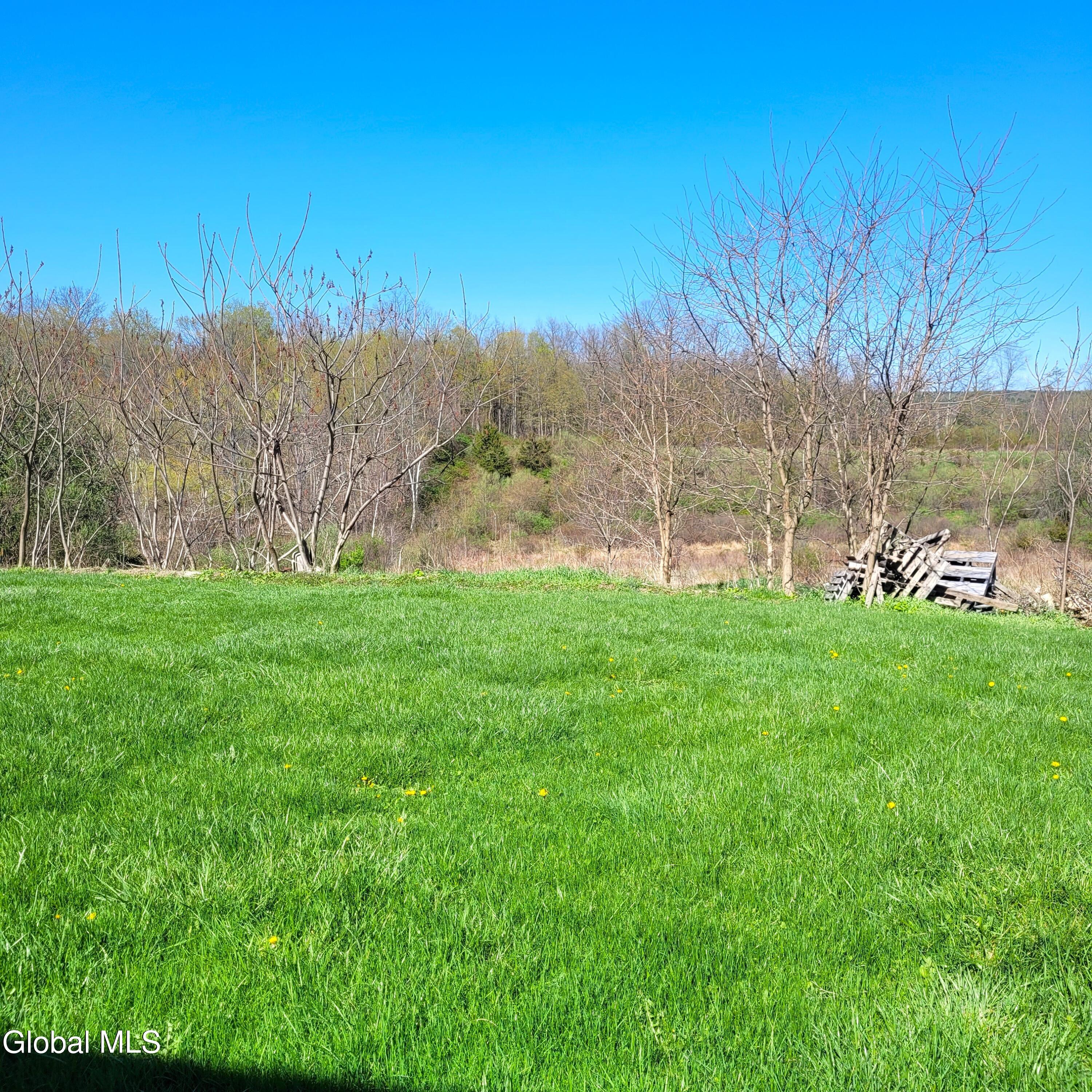 10803 New York 32 Greenville NY 12083