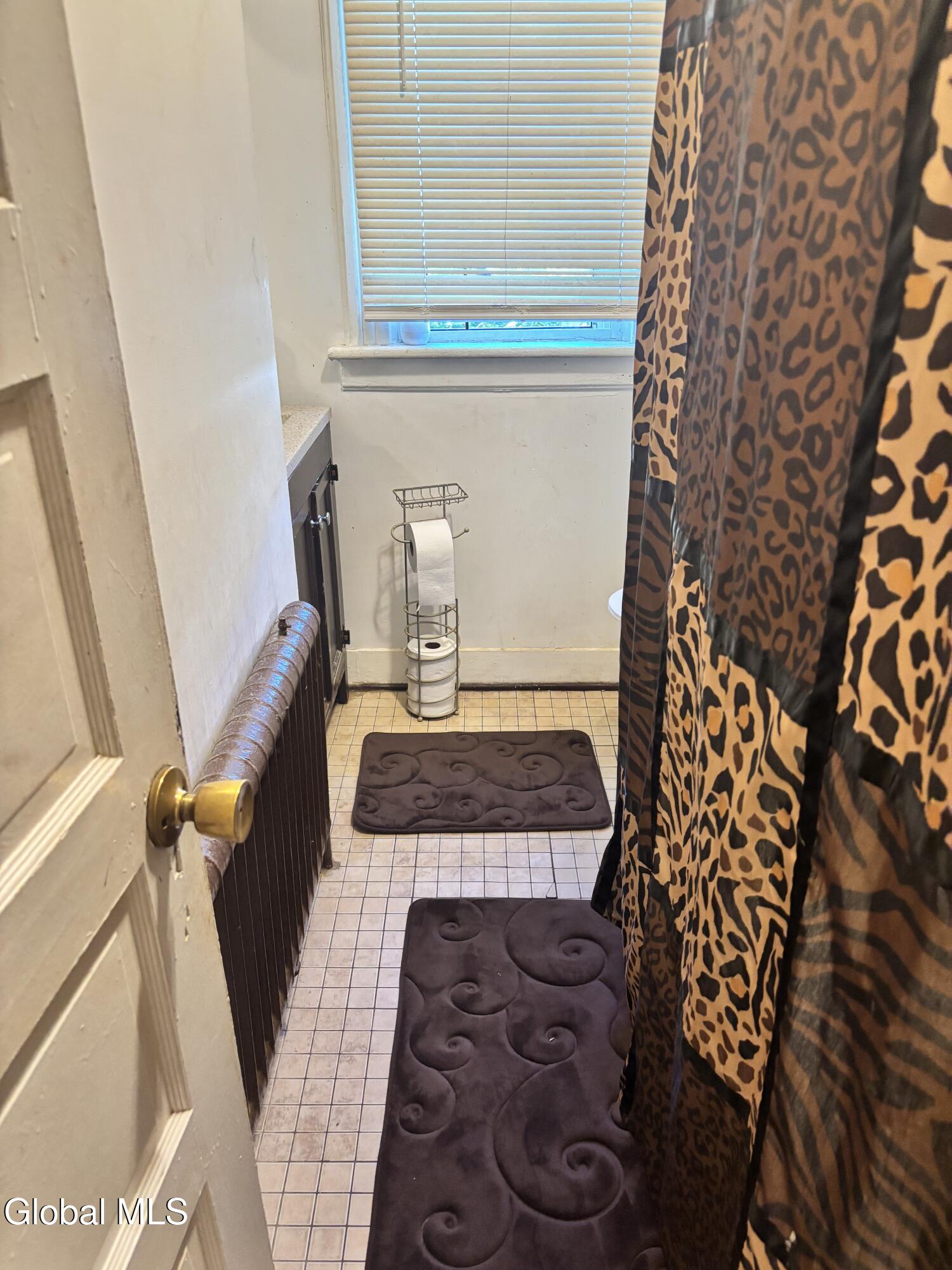 4 Wilkins Avenue Albany NY 12206