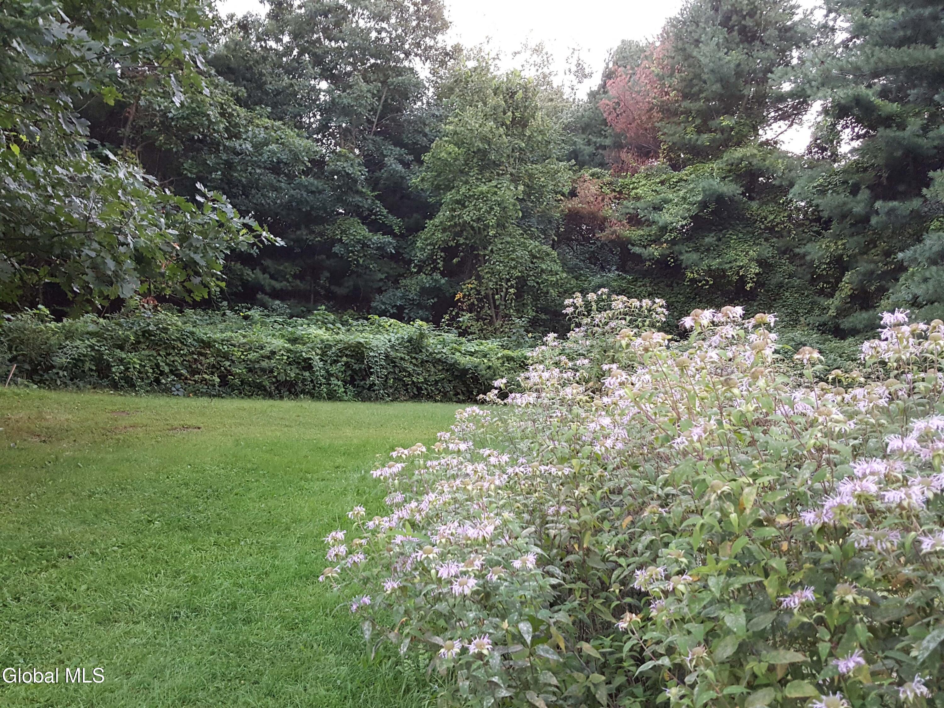 9287 New York 66 Averill Park NY 12018