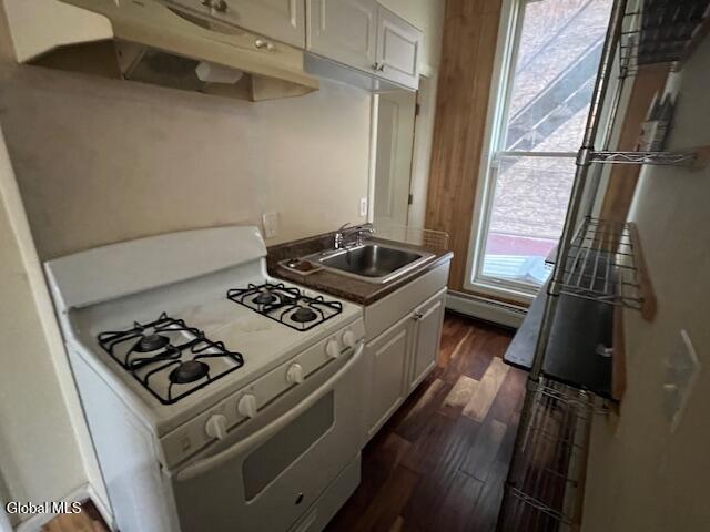 284 Lark Street Albany NY 12210