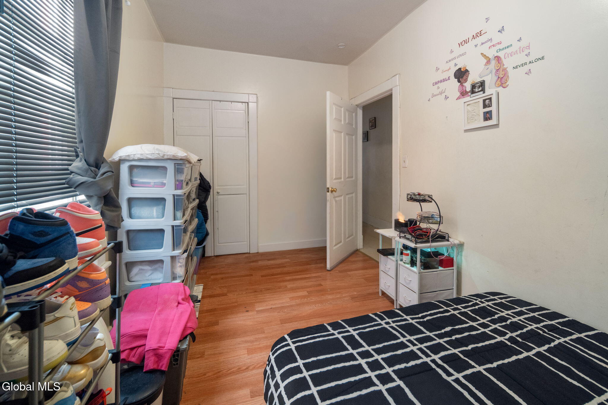 171 N Allen Street Albany NY 12206