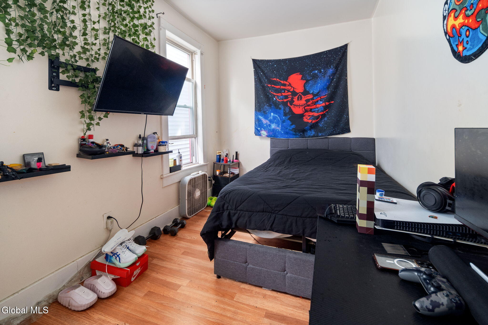 171 N Allen Street Albany NY 12206