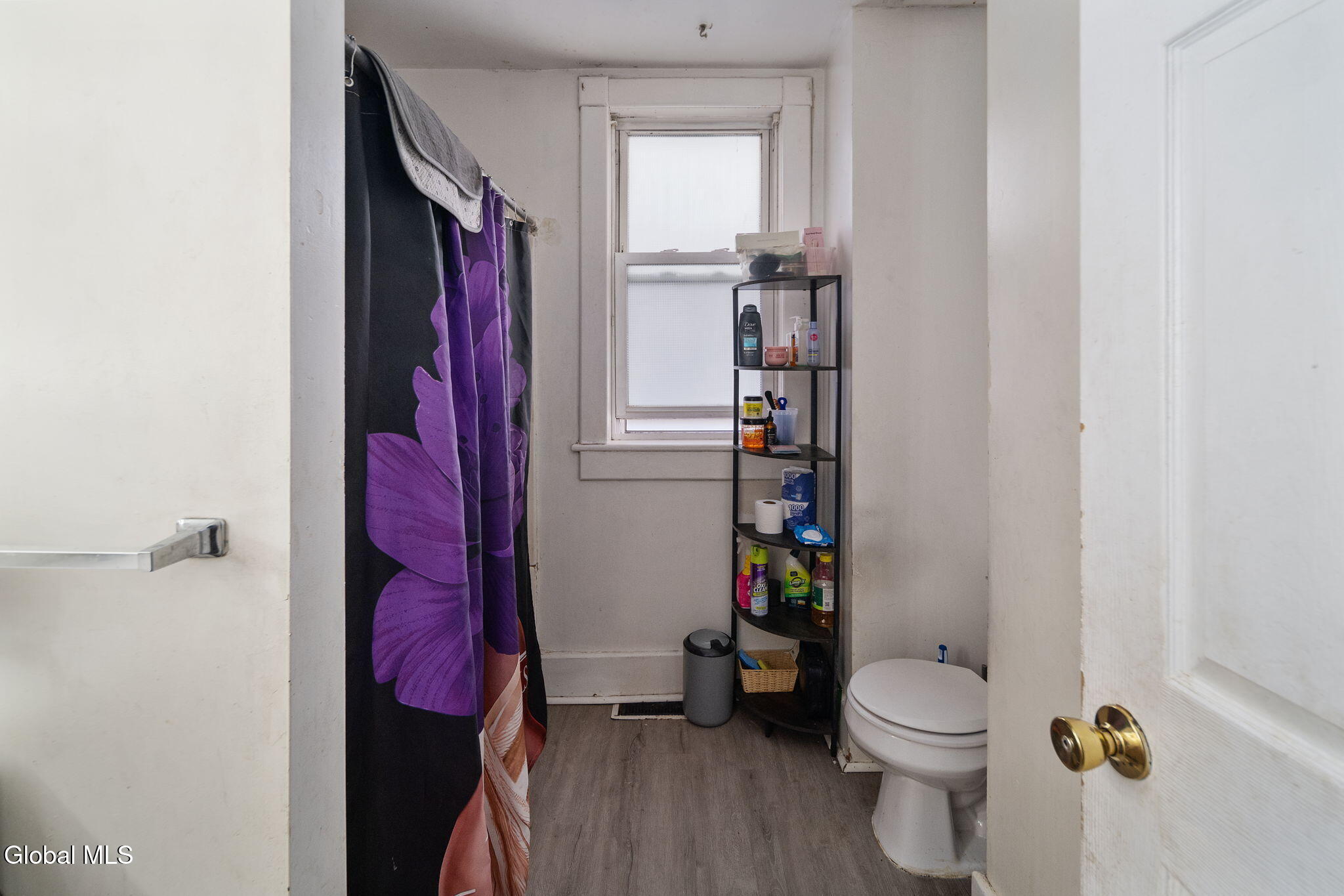 171 N Allen Street Albany NY 12206