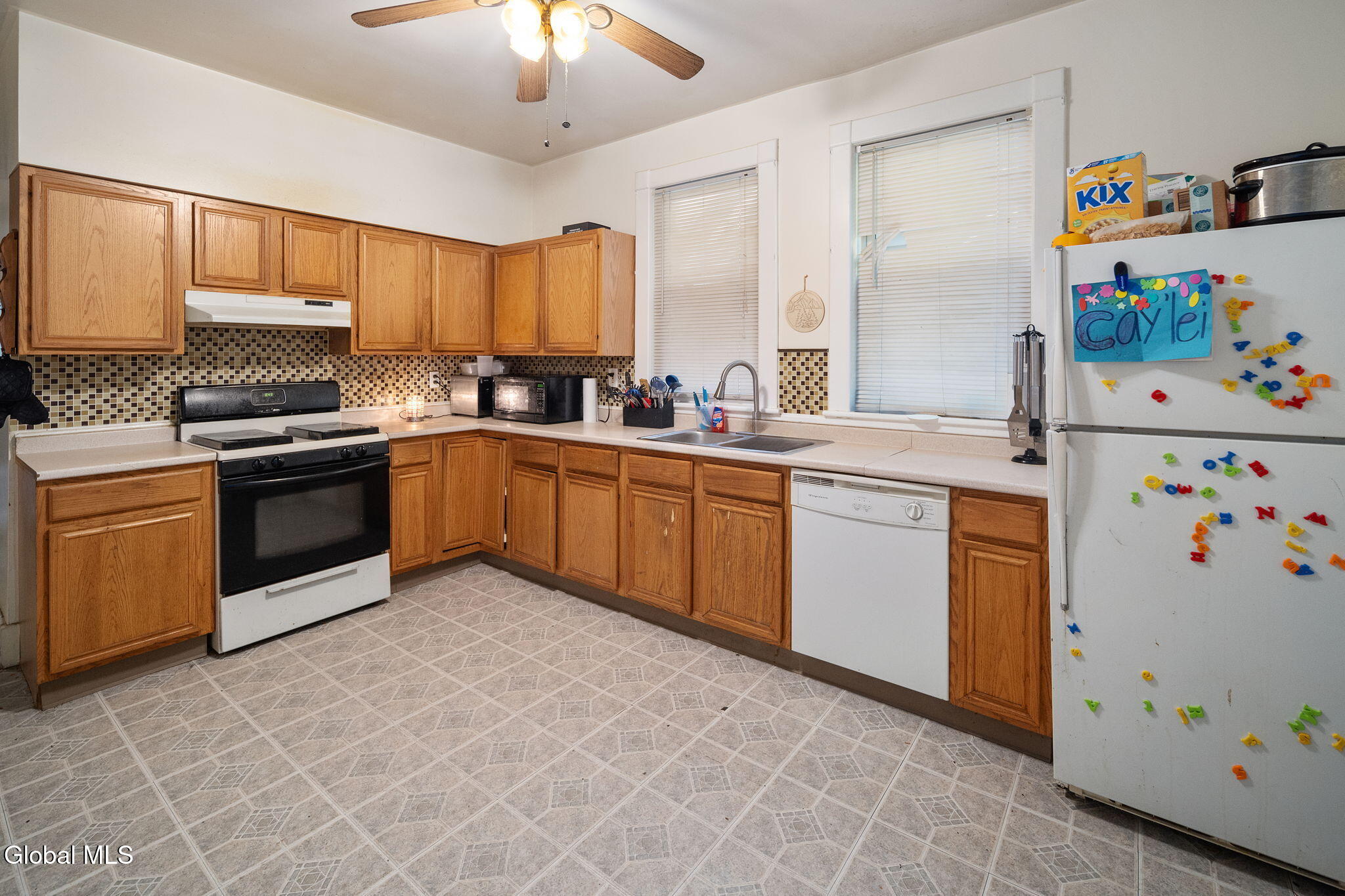 171 N Allen Street Albany NY 12206
