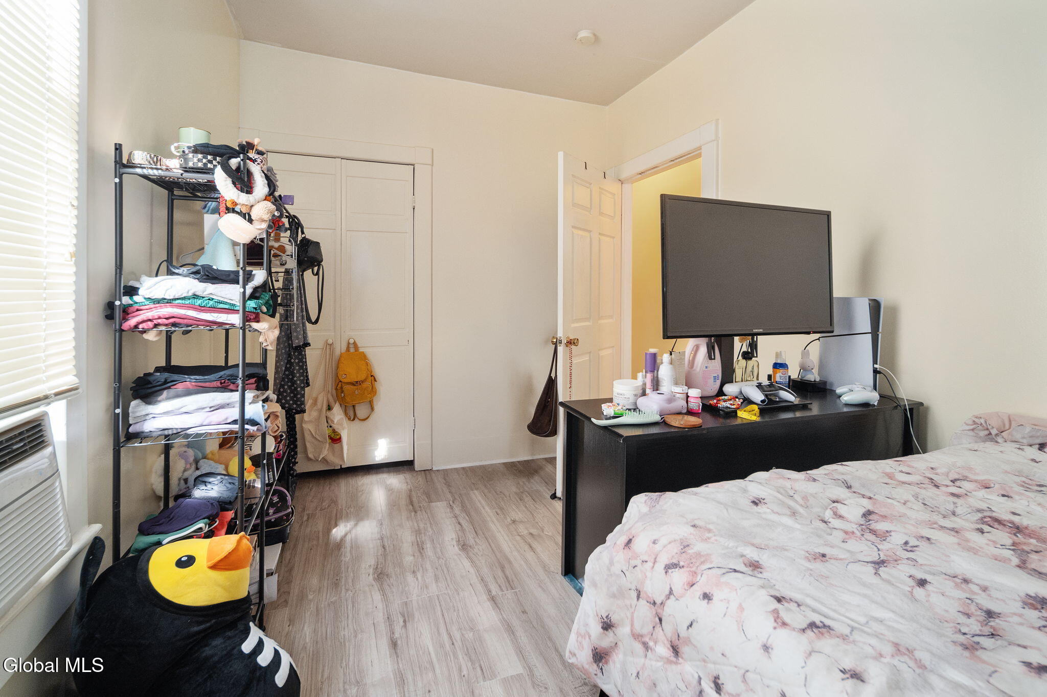 171 N Allen Street Albany NY 12206
