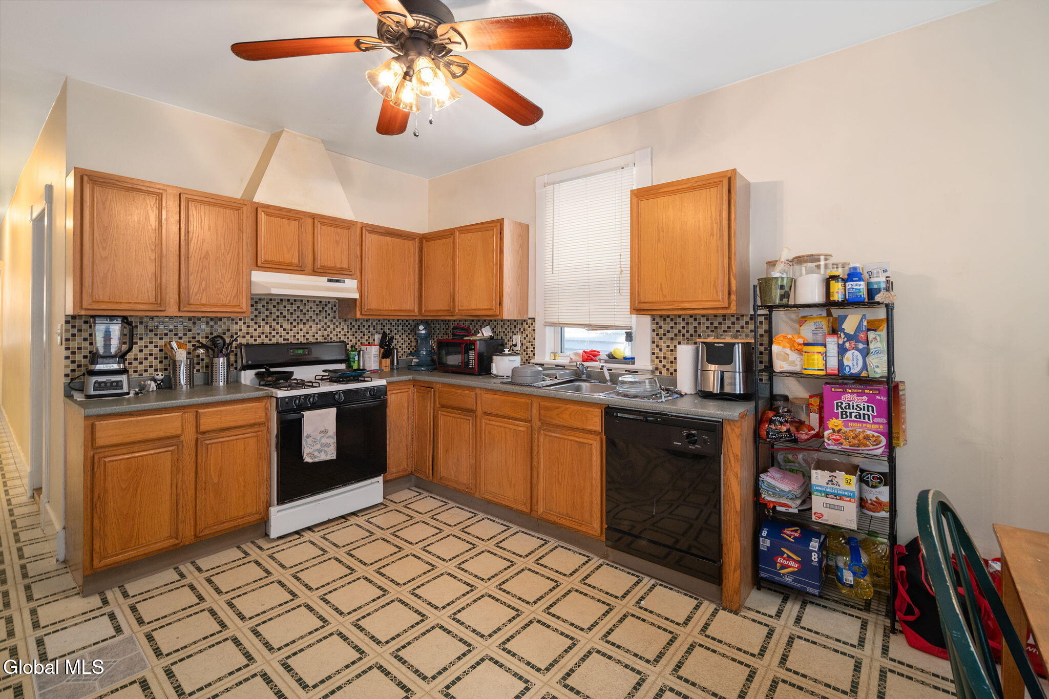 171 N Allen Street Albany NY 12206