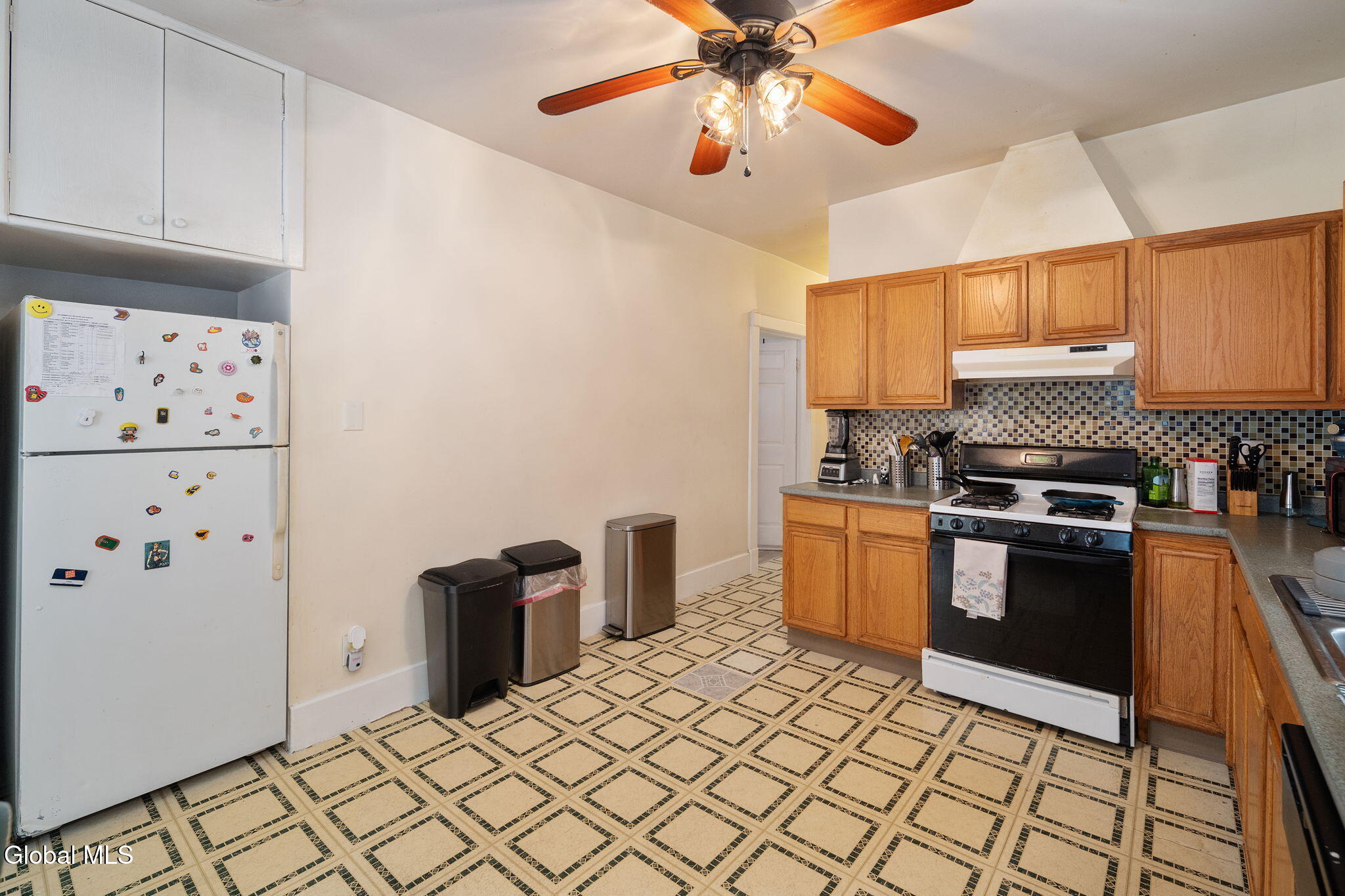 171 N Allen Street Albany NY 12206