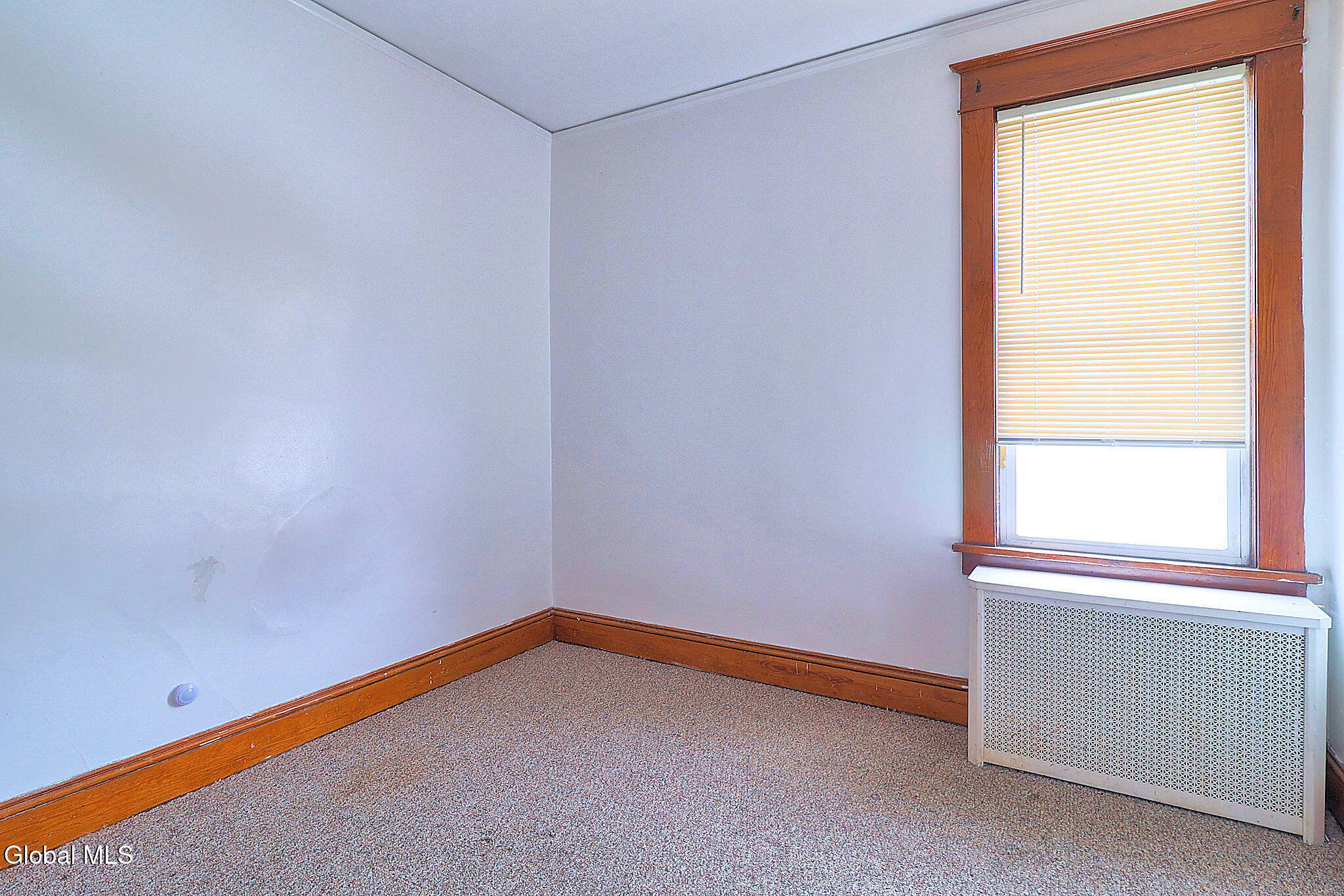 669 Washington Avenue Albany NY 12206
