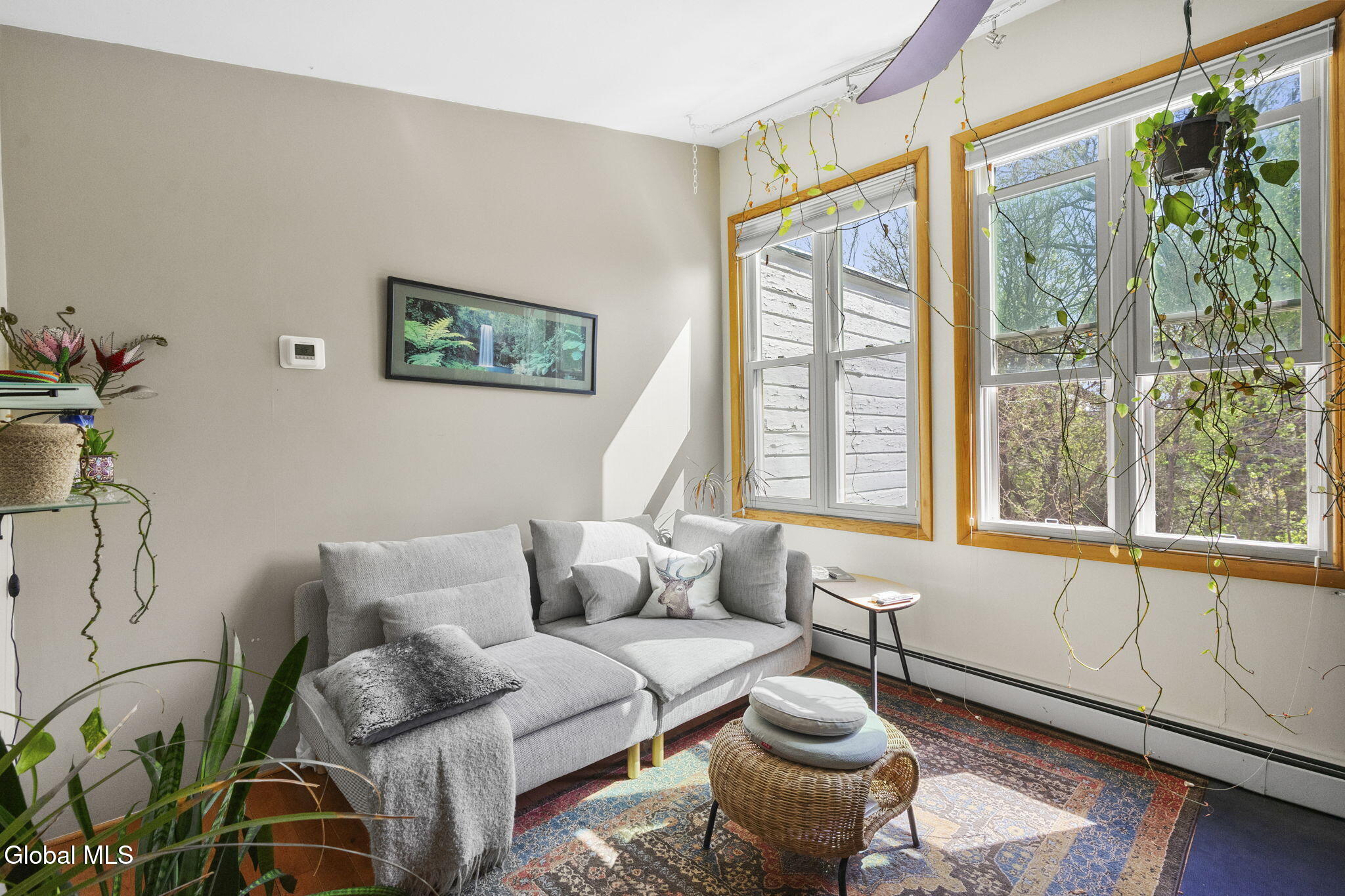 64 Elm Street Albany NY 12203