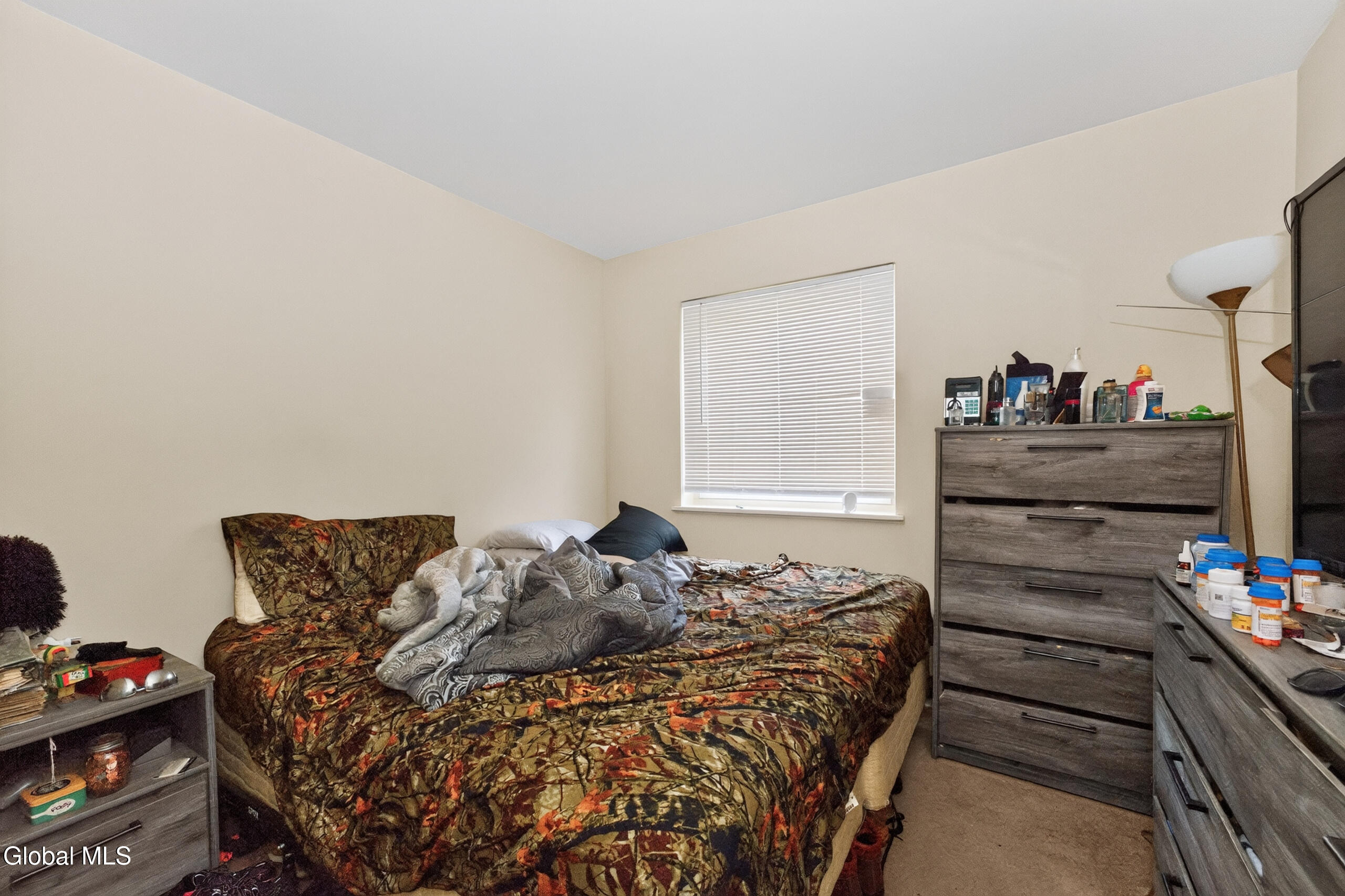 17 Berwyn Street Schenectady NY 12304