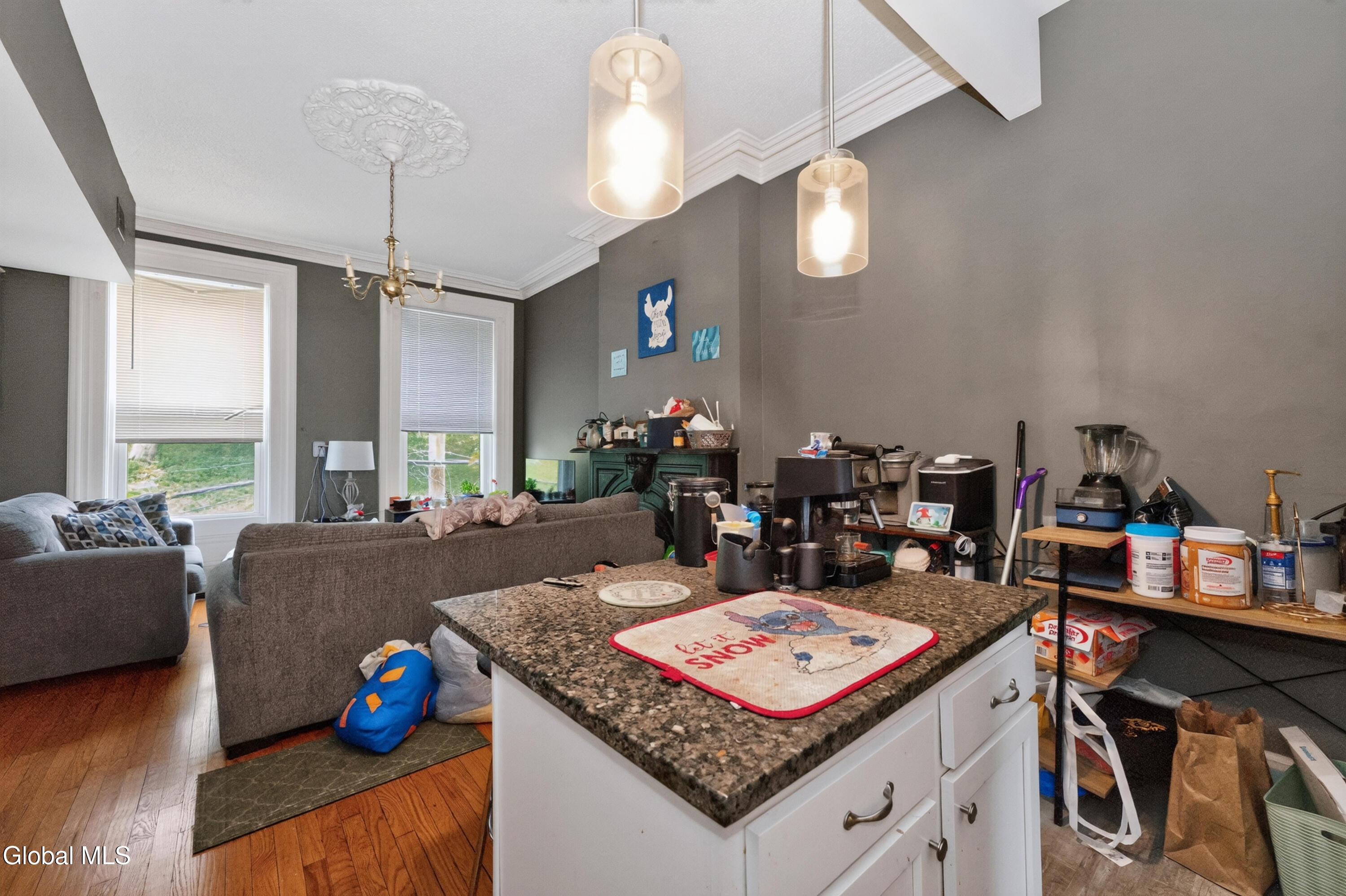 103 Ten Broeck Street Albany NY 12210