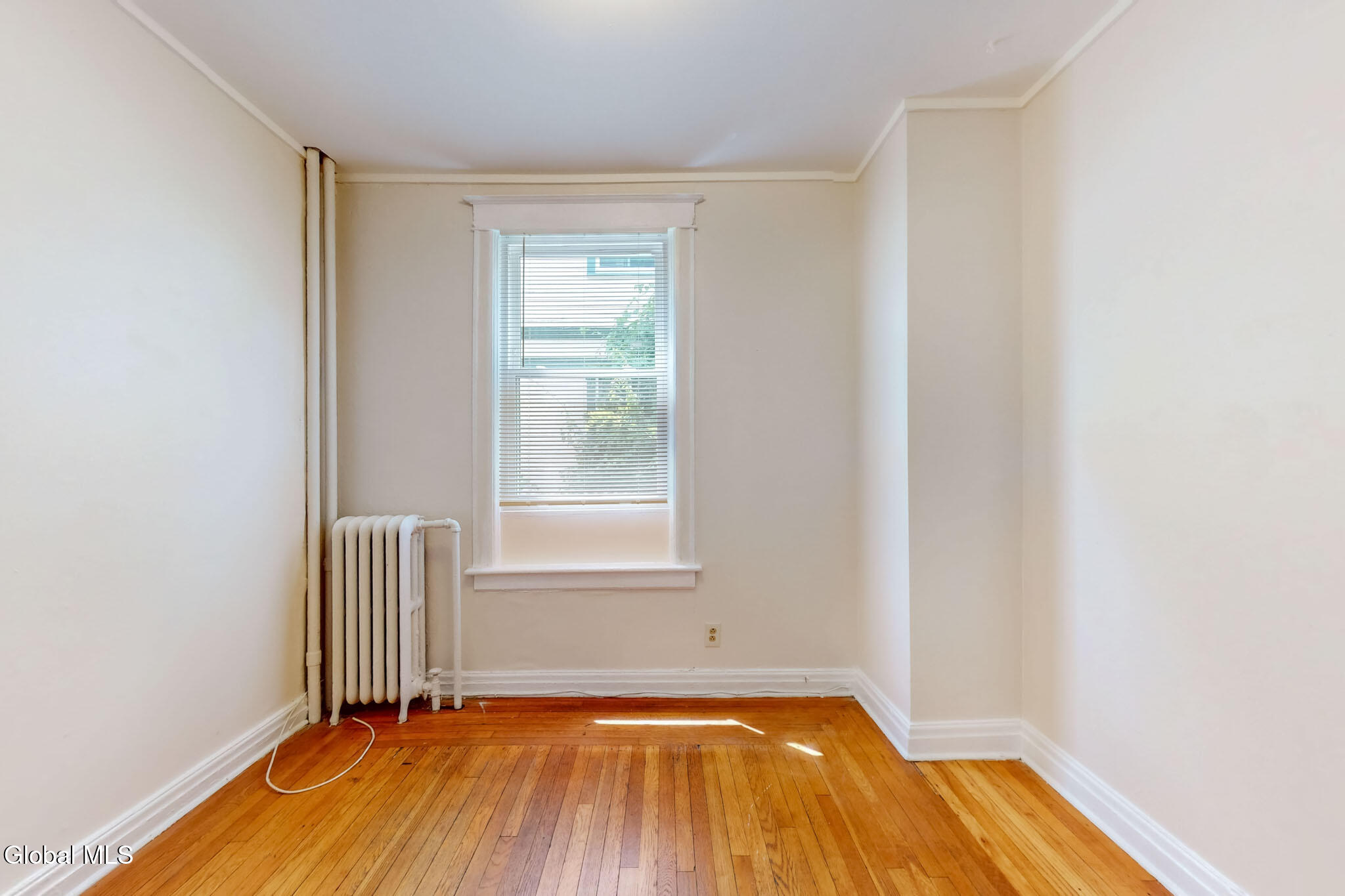 101 S Pine Avenue Albany NY 12208