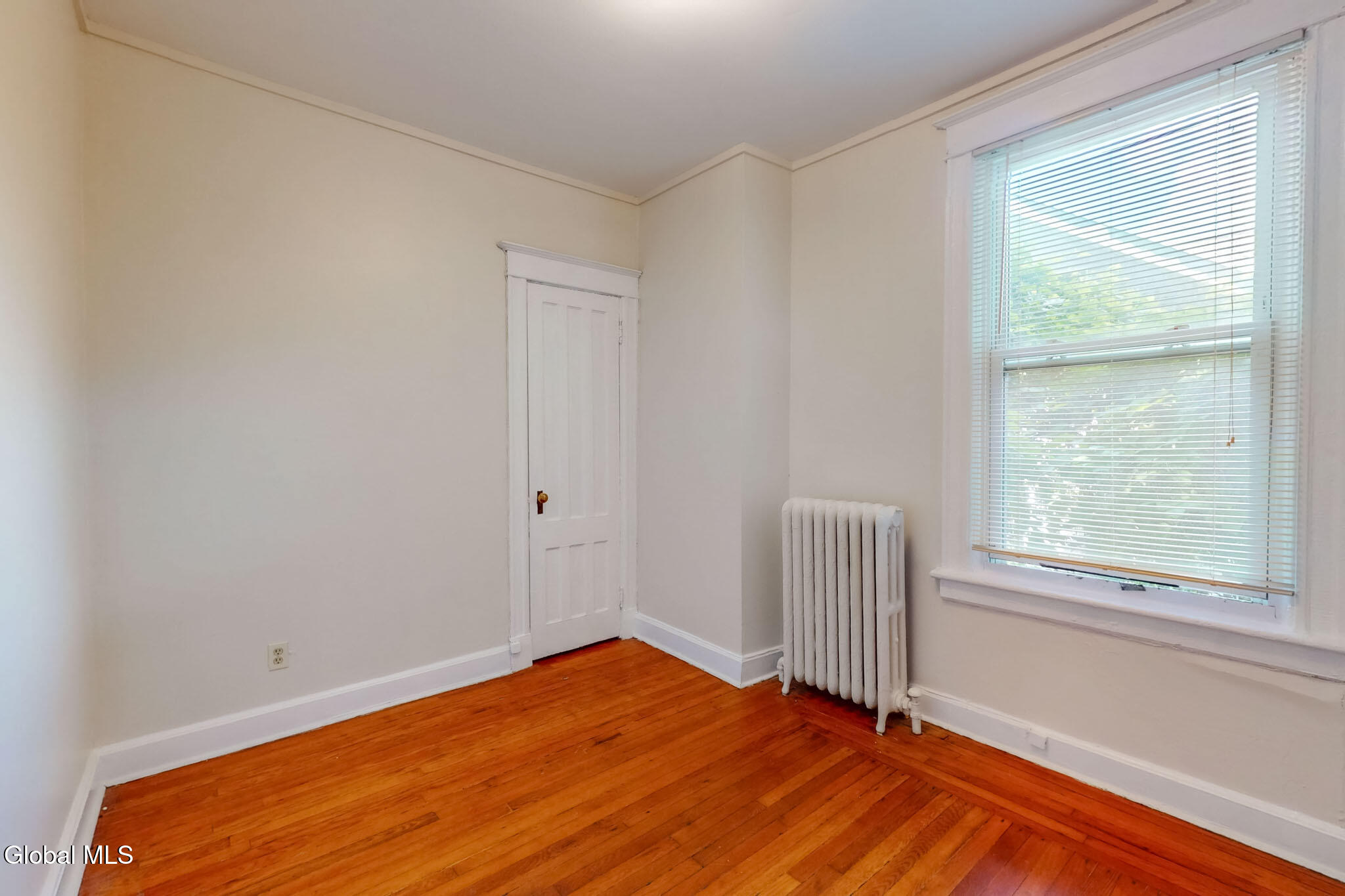 101 S Pine Avenue Albany NY 12208