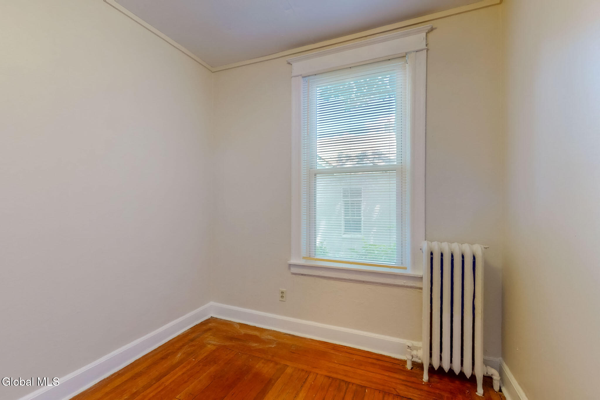 101 S Pine Avenue Albany NY 12208