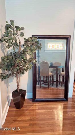 11 Homestead Avenue Albany NY 12203