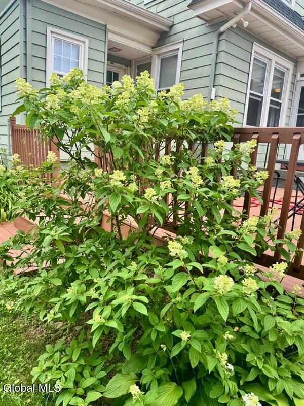 336 Columbia Street Cohoes NY 12047