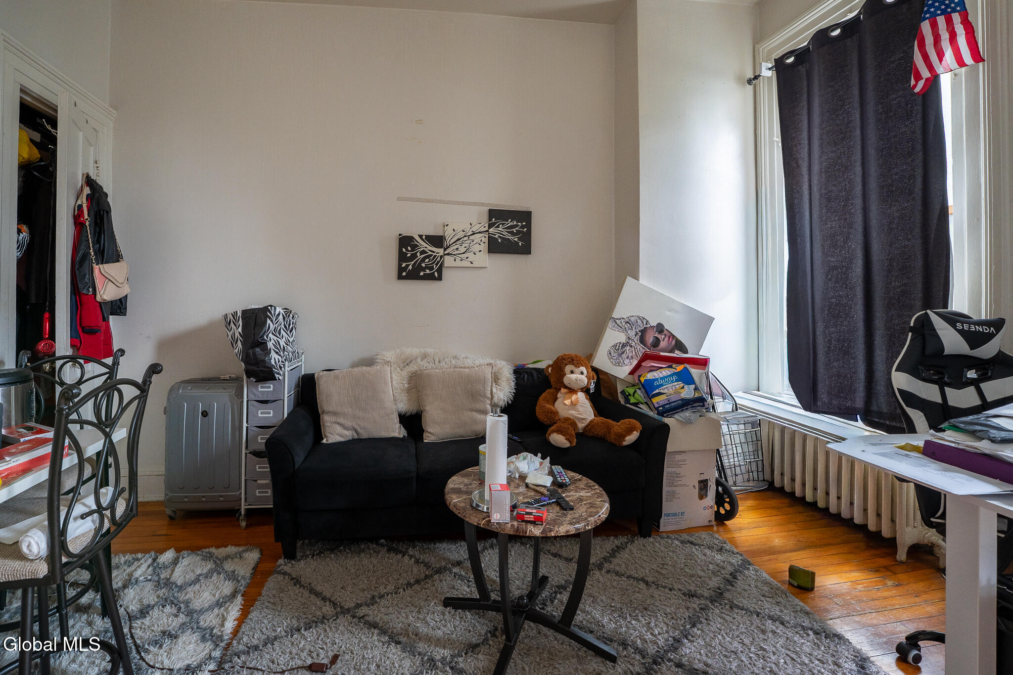 156 S Swan Street Albany NY 12210