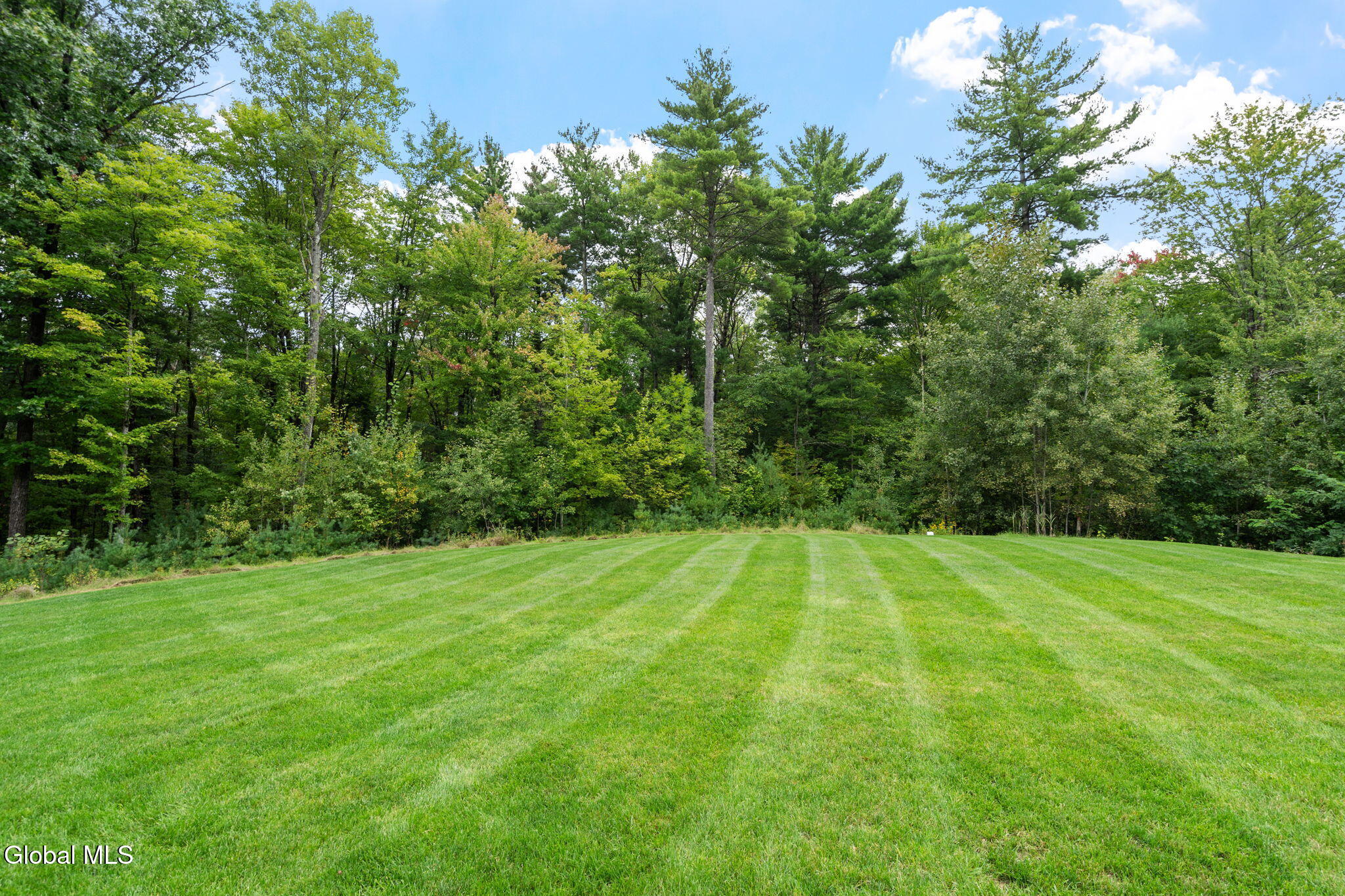 6 Calvin Court Saratoga Springs NY 12866