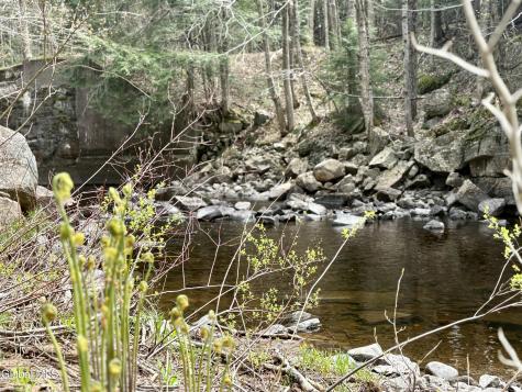 112 Bliss Road Dolgeville NY 13329