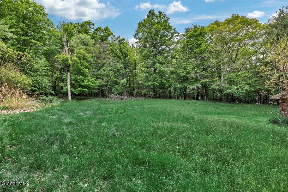 146 Stonebridge Rd Extension Durham NY 12423