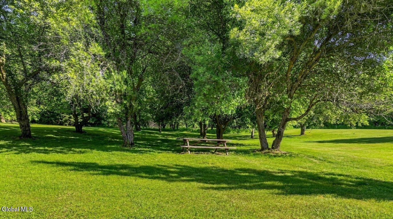 171 Rossman Hill Road Summit NY 12175