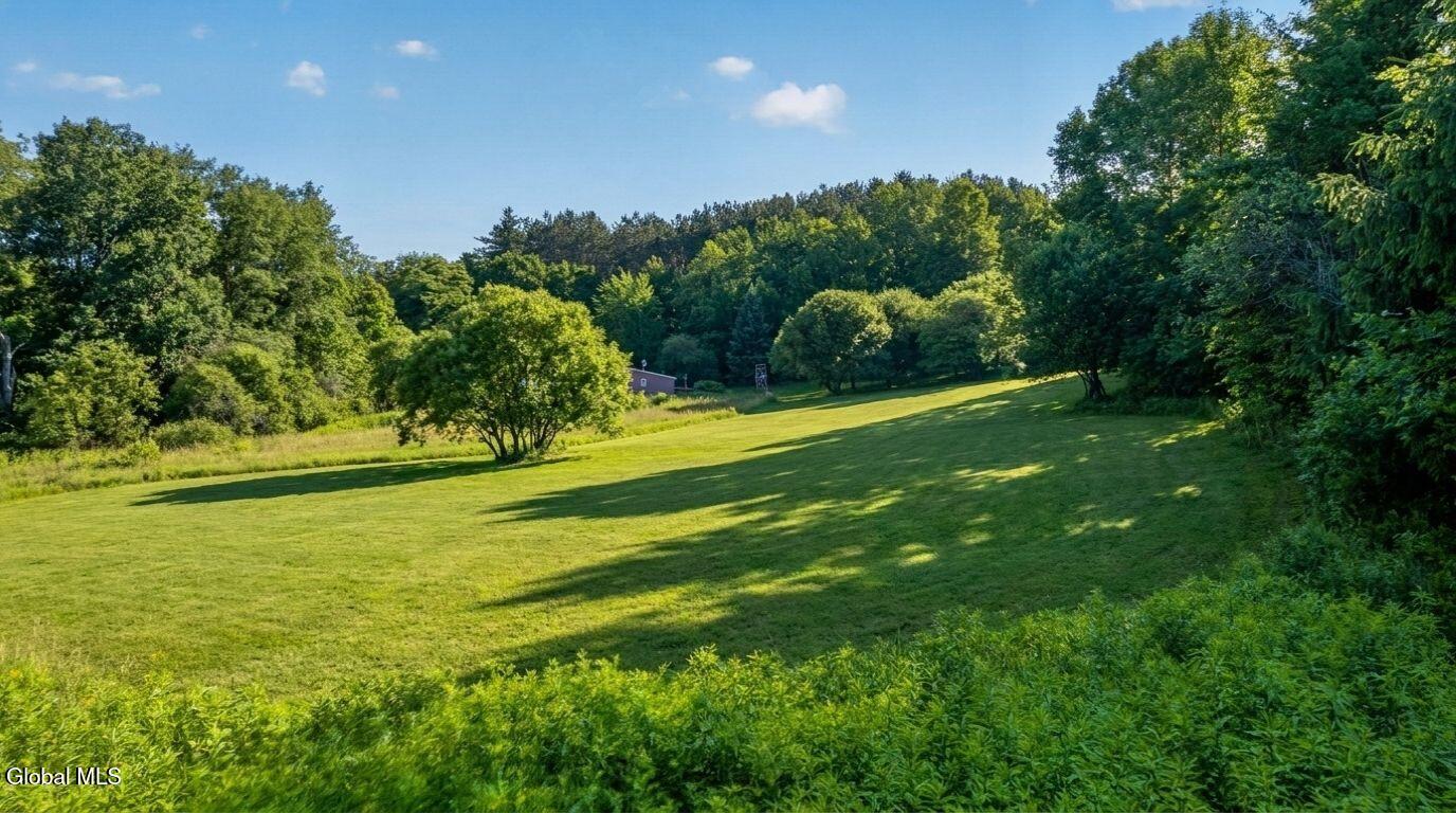 171 Rossman Hill Road Summit NY 12175