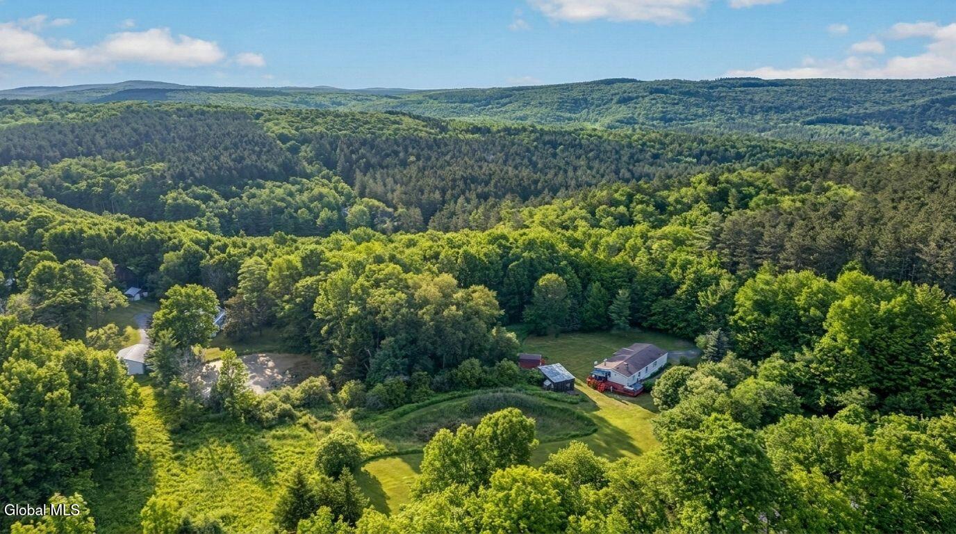 171 Rossman Hill Road Summit NY 12175