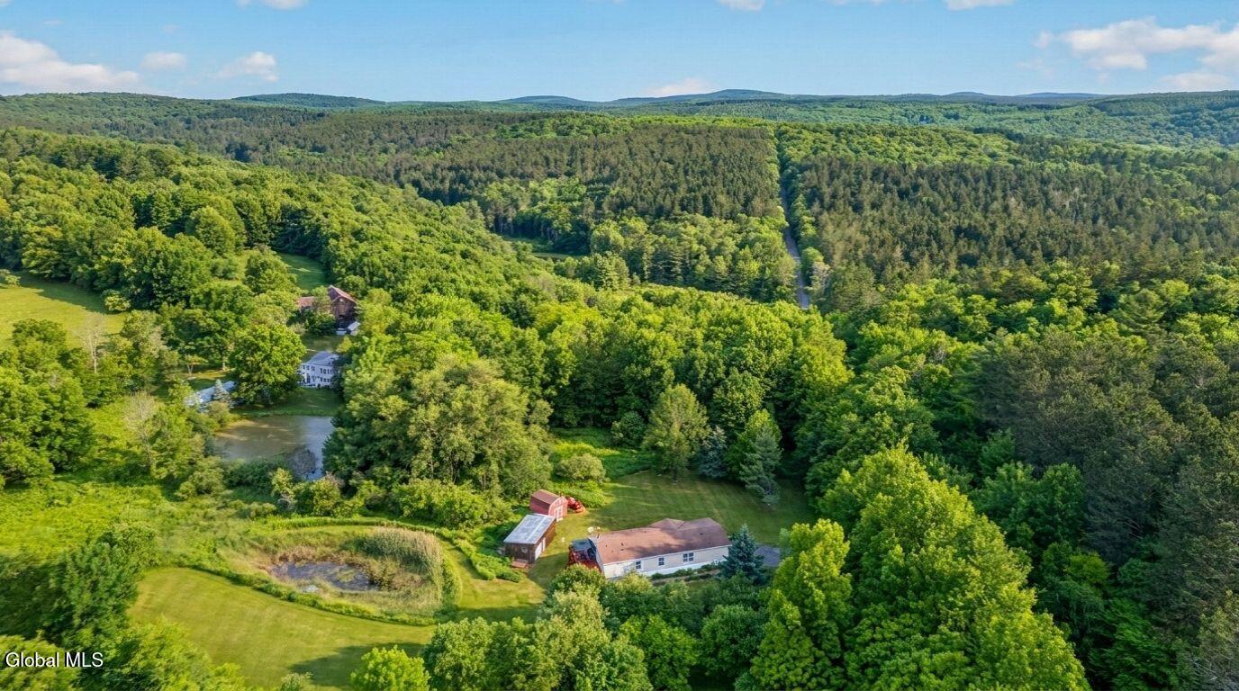 171 Rossman Hill Road Summit NY 12175