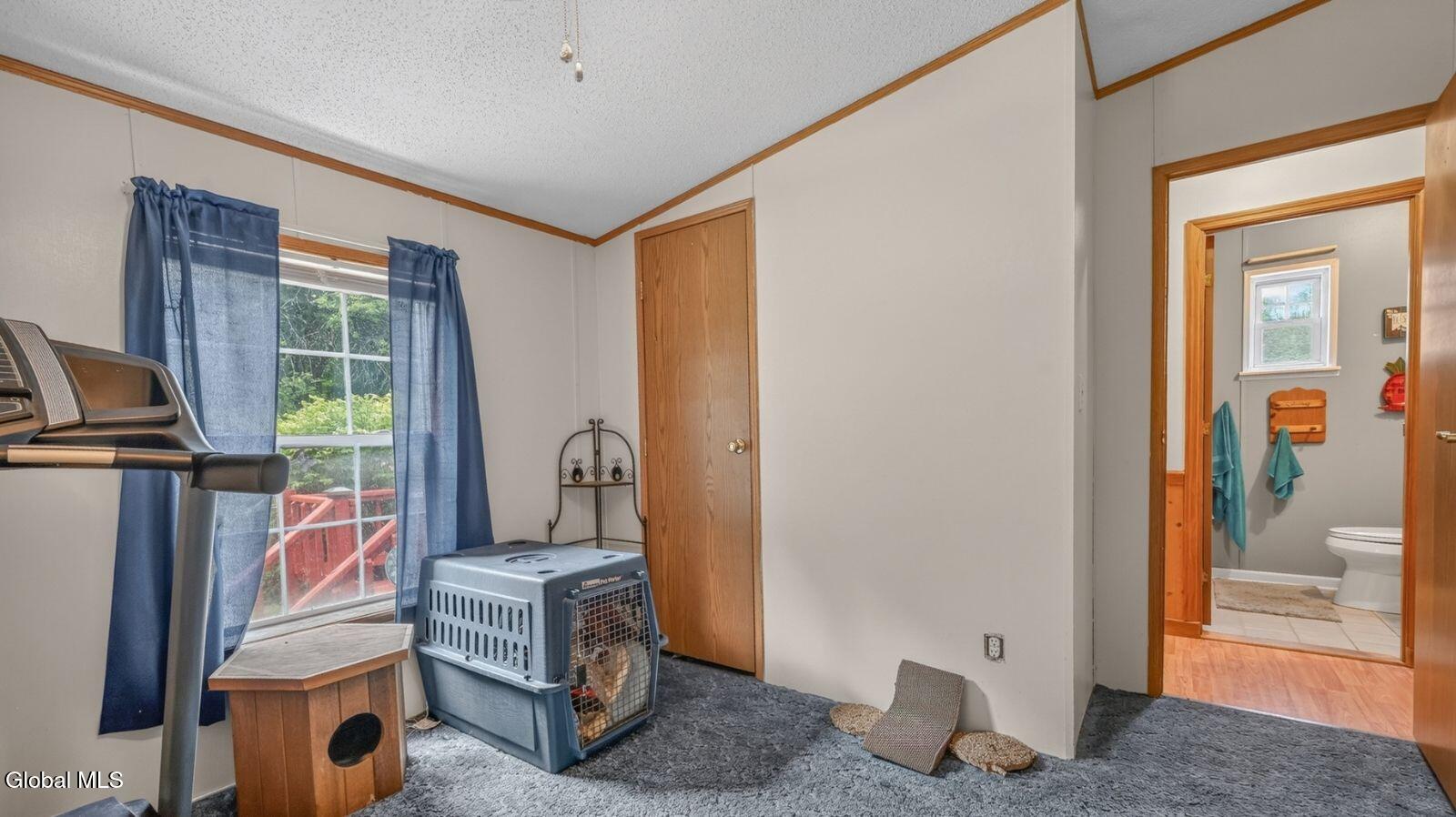 171 Rossman Hill Road Summit NY 12175