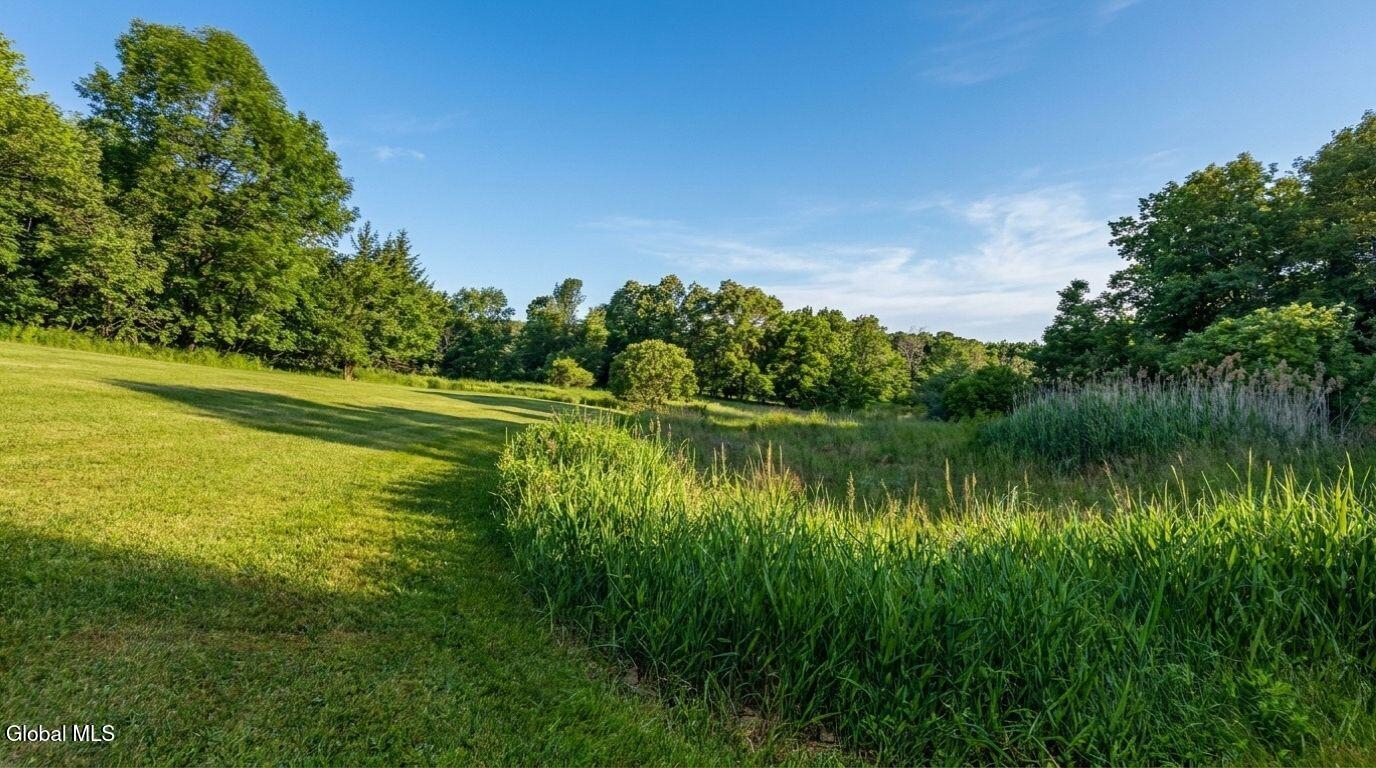 171 Rossman Hill Road Summit NY 12175