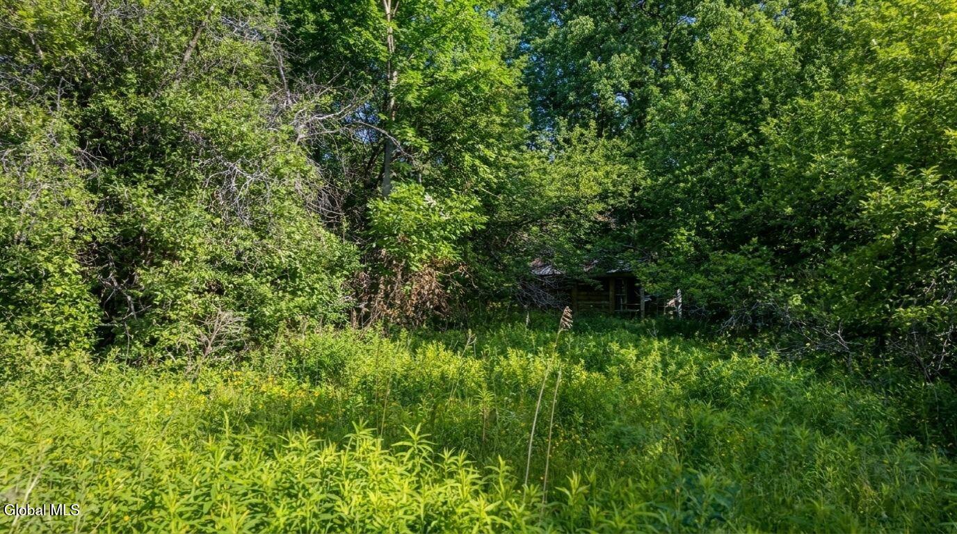 171 Rossman Hill Road Summit NY 12175