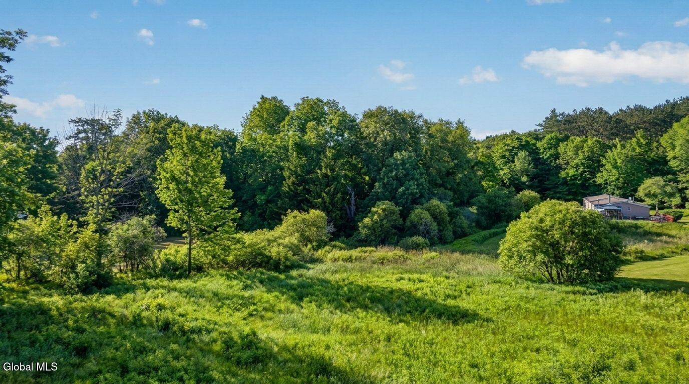 171 Rossman Hill Road Summit NY 12175
