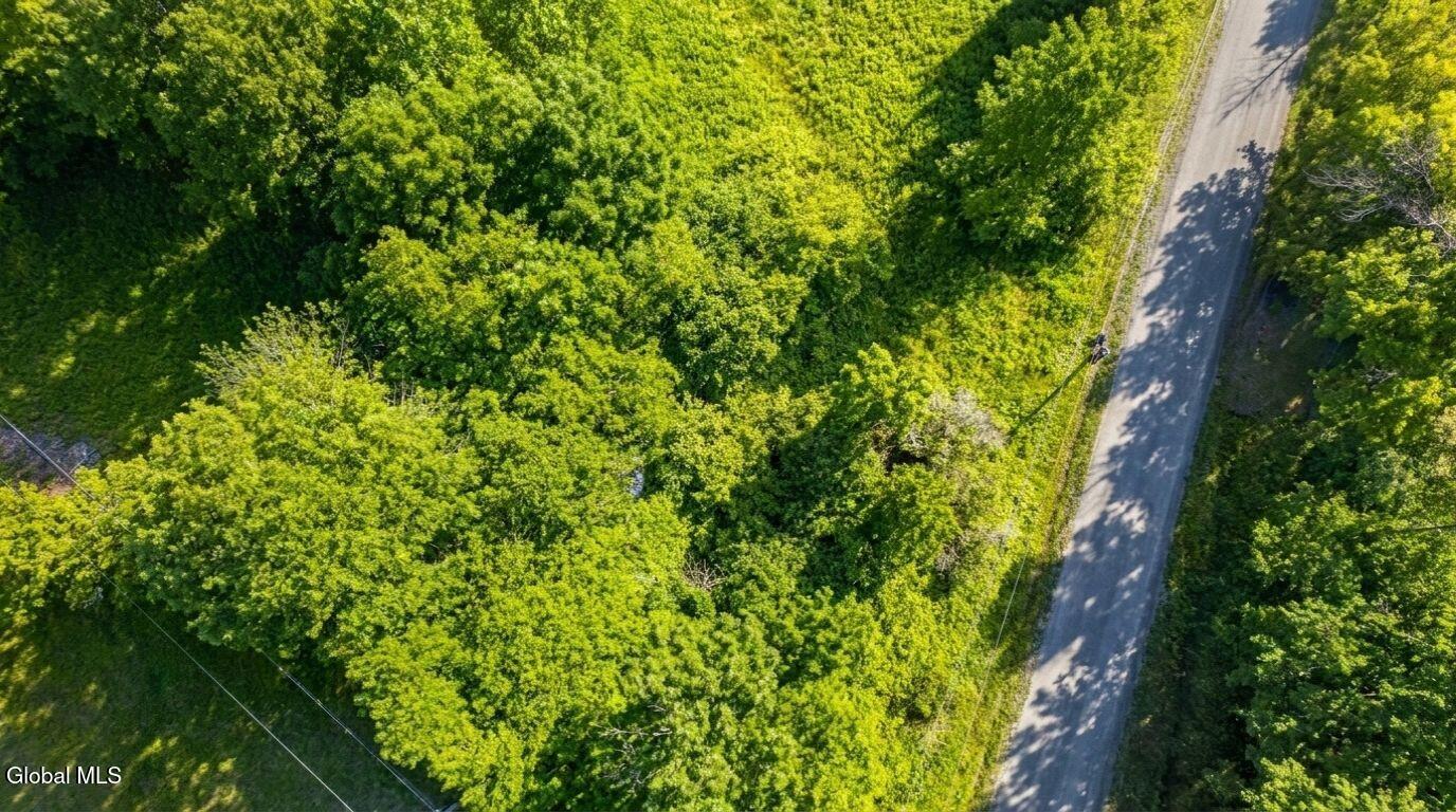 171 Rossman Hill Road Summit NY 12175