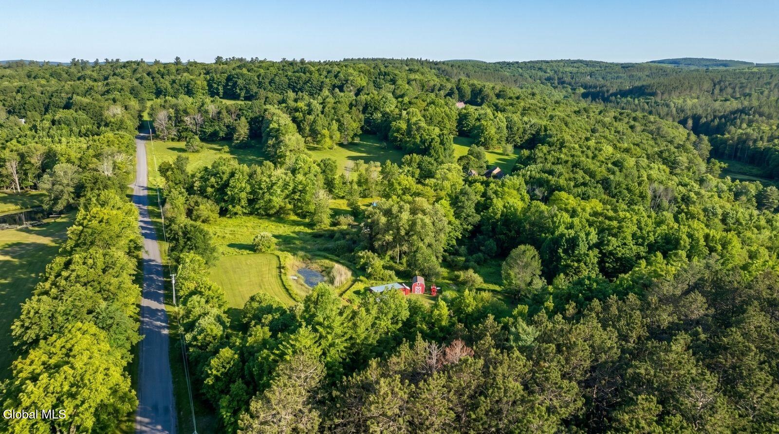 171 Rossman Hill Road Summit NY 12175