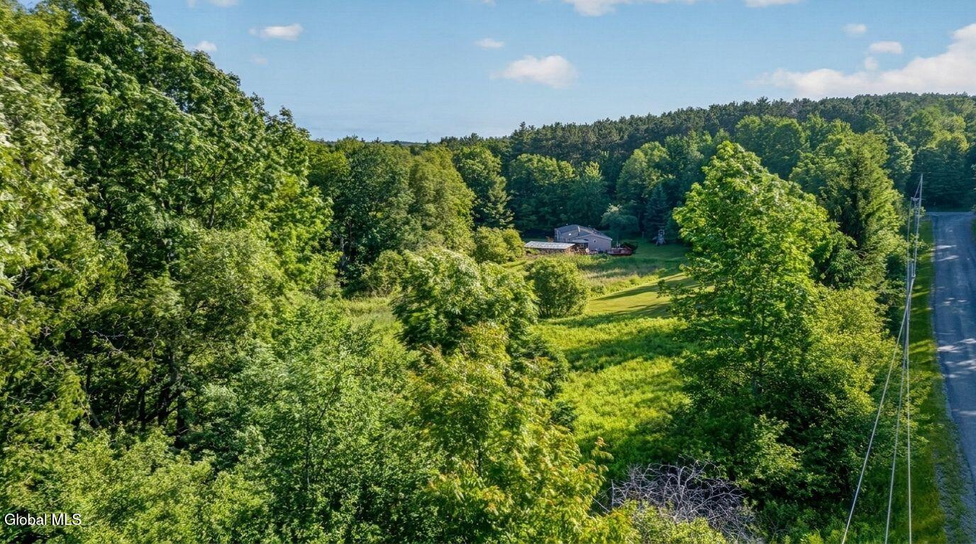 171 Rossman Hill Road Summit NY 12175