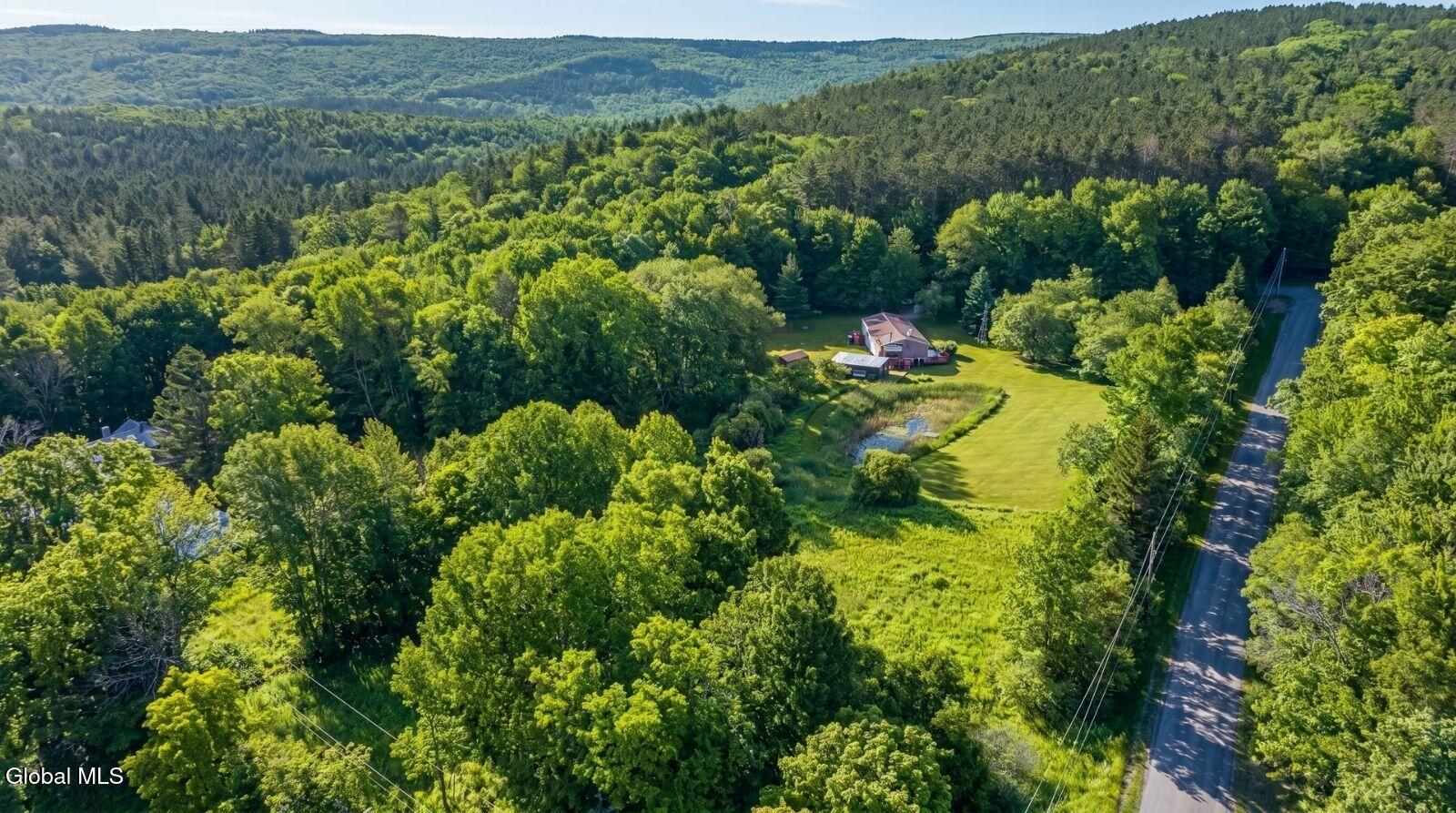171 Rossman Hill Road Summit NY 12175