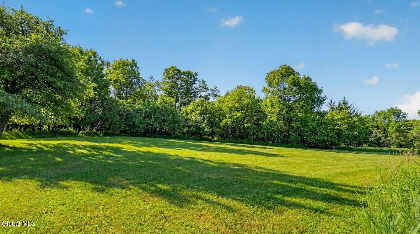 171 Rossman Hill Road Summit NY 12175