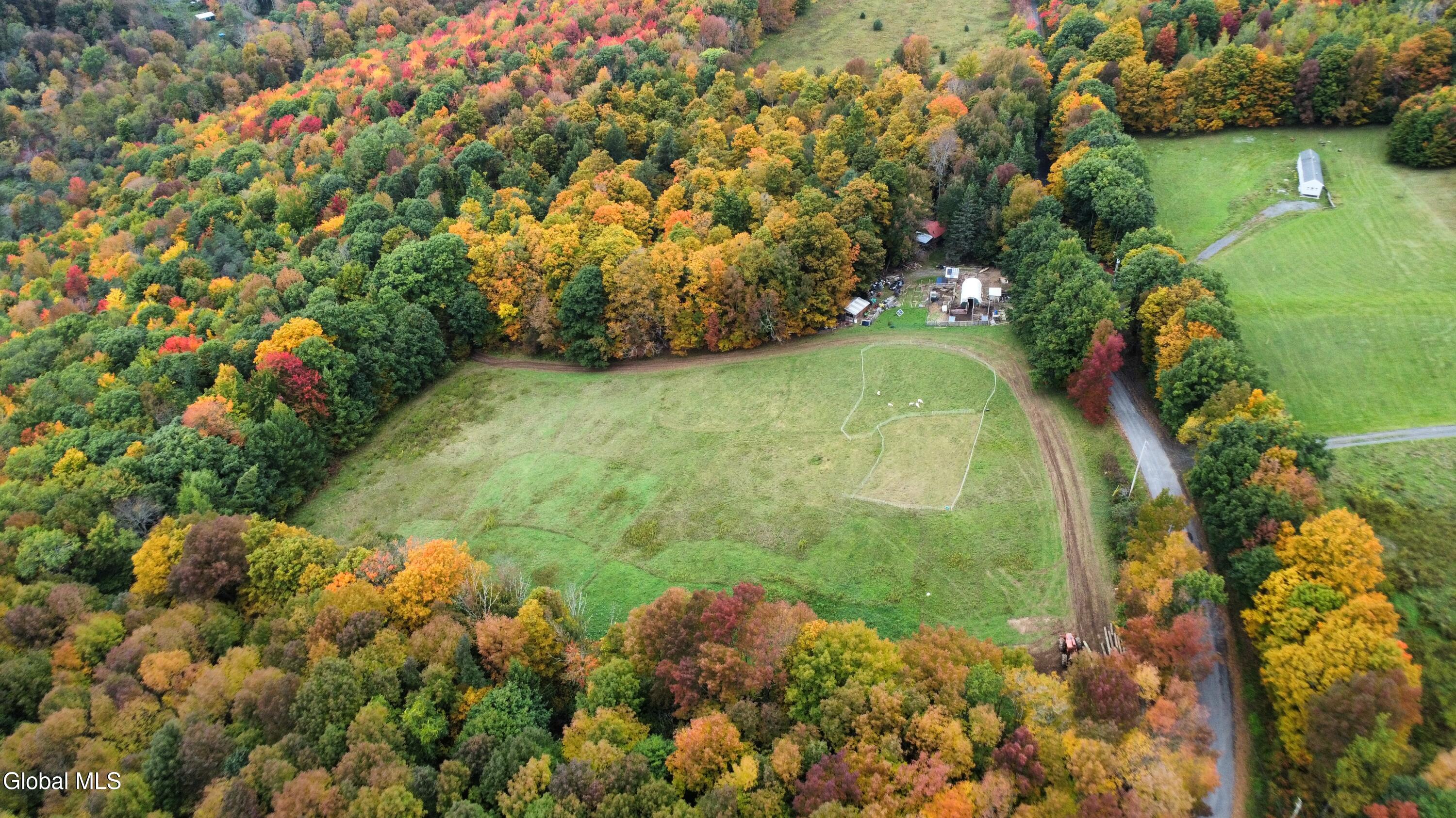 335 Hill Road Worcester NY 12197