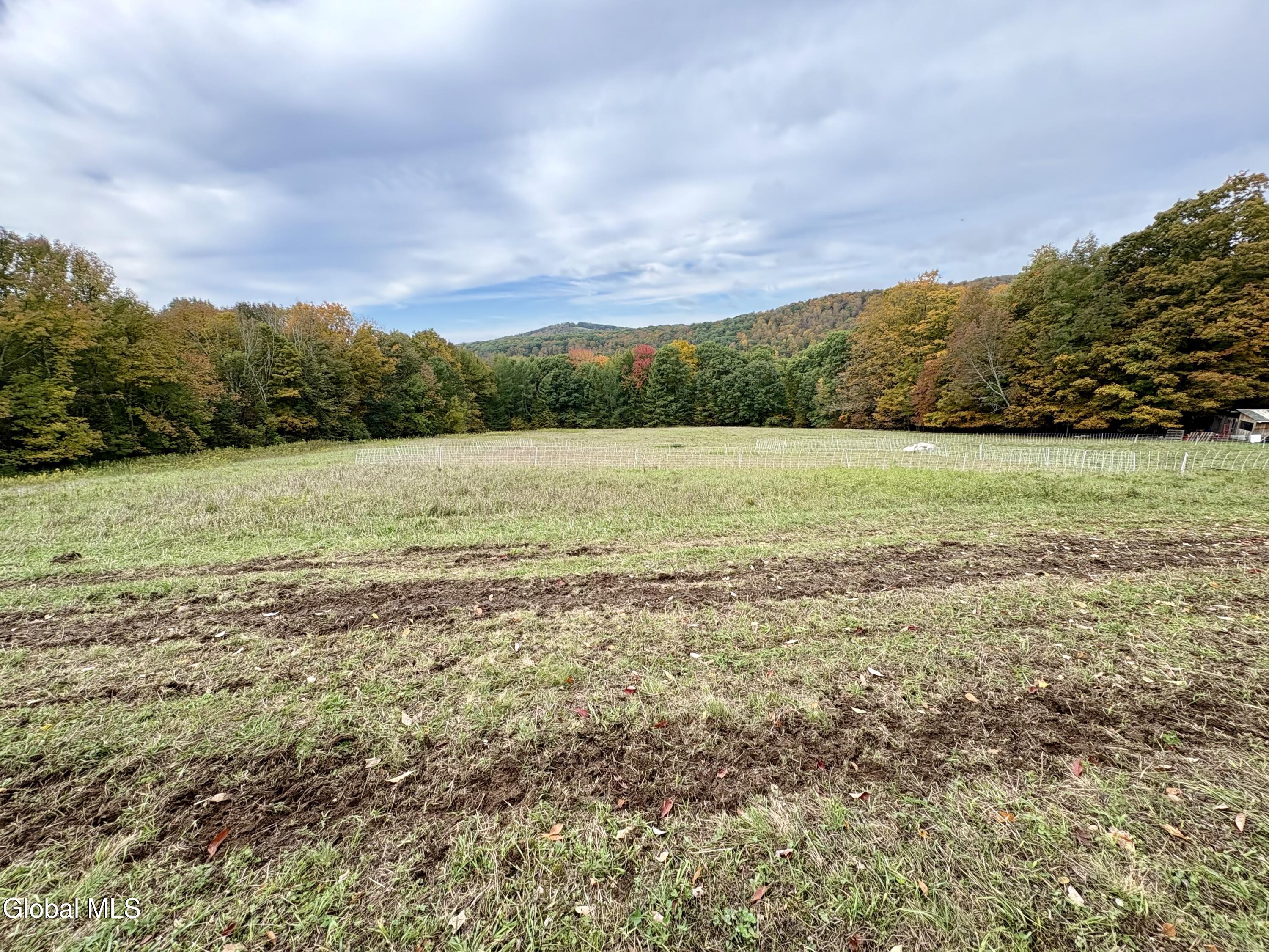 335 Hill Road Worcester NY 12197