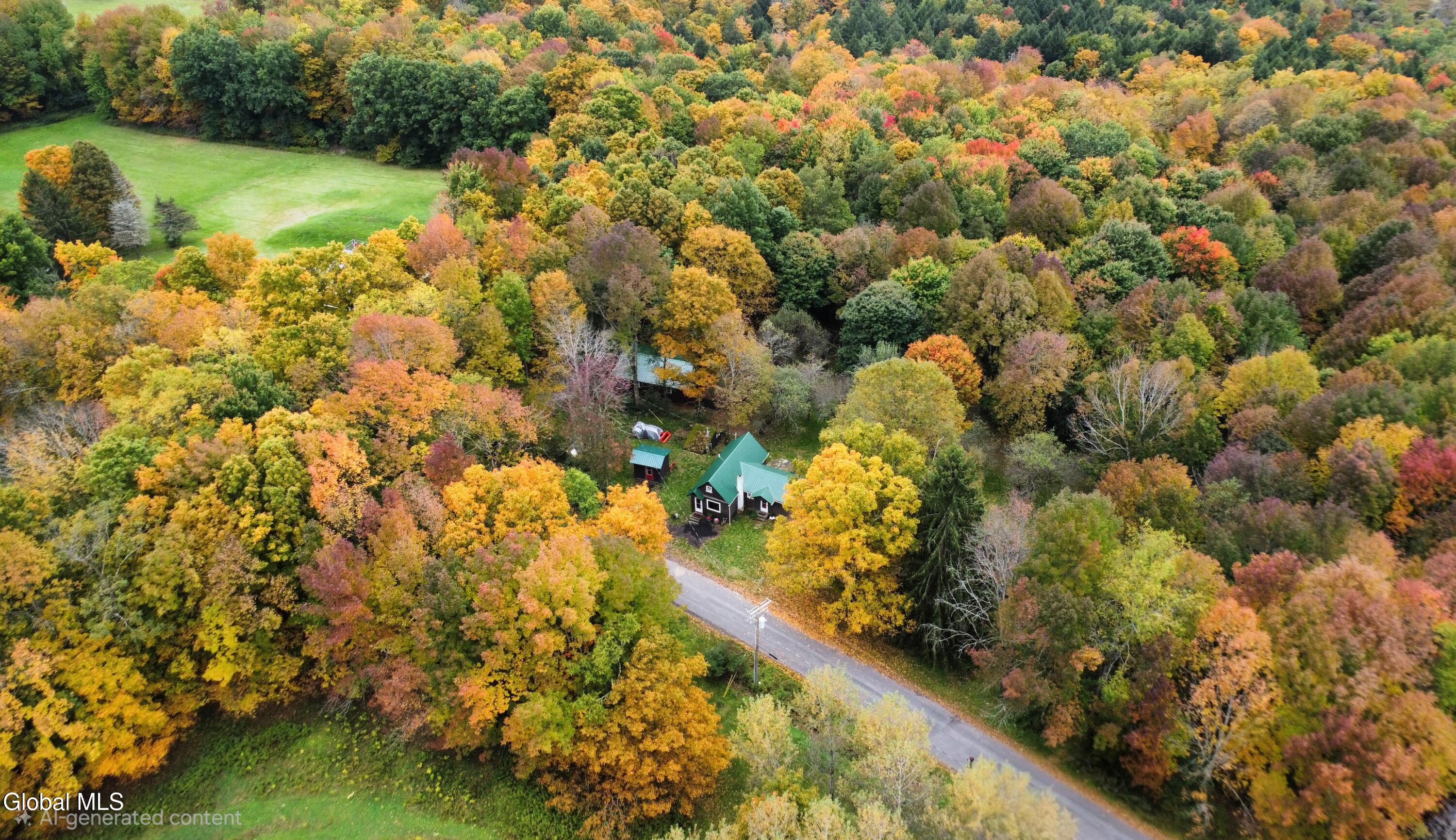 335 Hill Road Worcester NY 12197