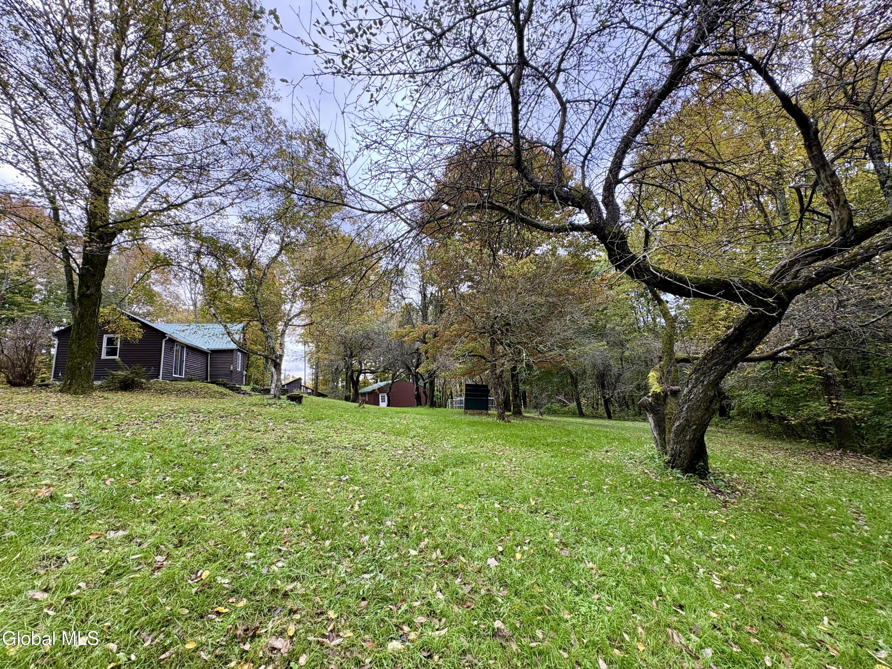 335 Hill Road Worcester NY 12197