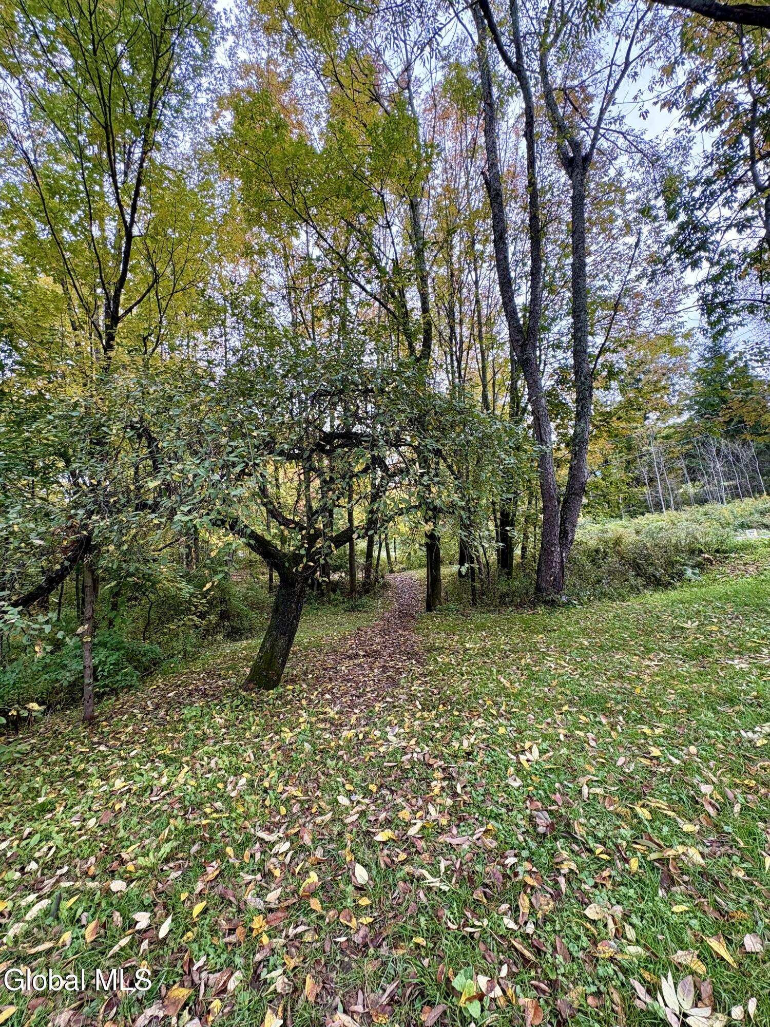 335 Hill Road Worcester NY 12197