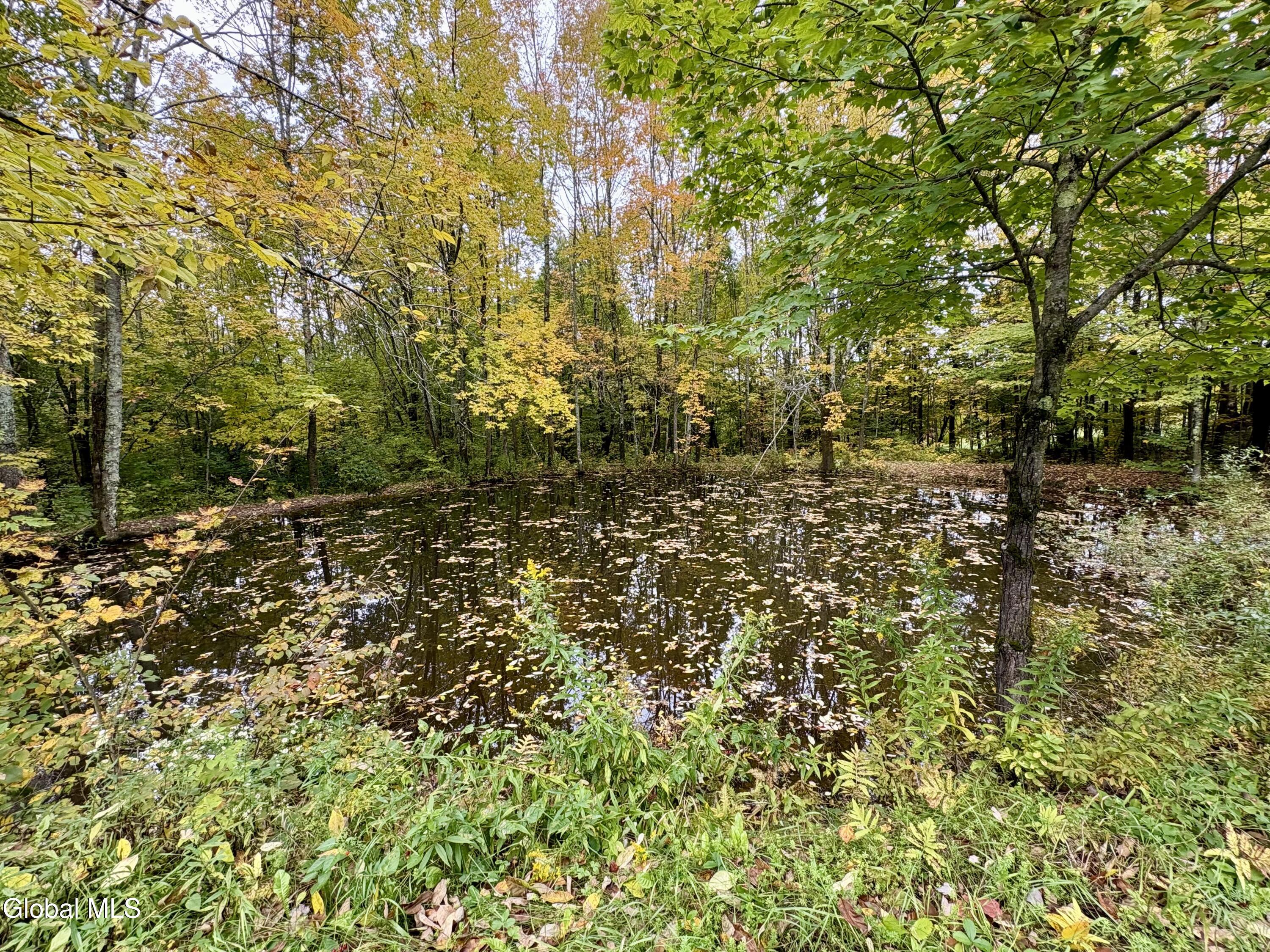 335 Hill Road Worcester NY 12197